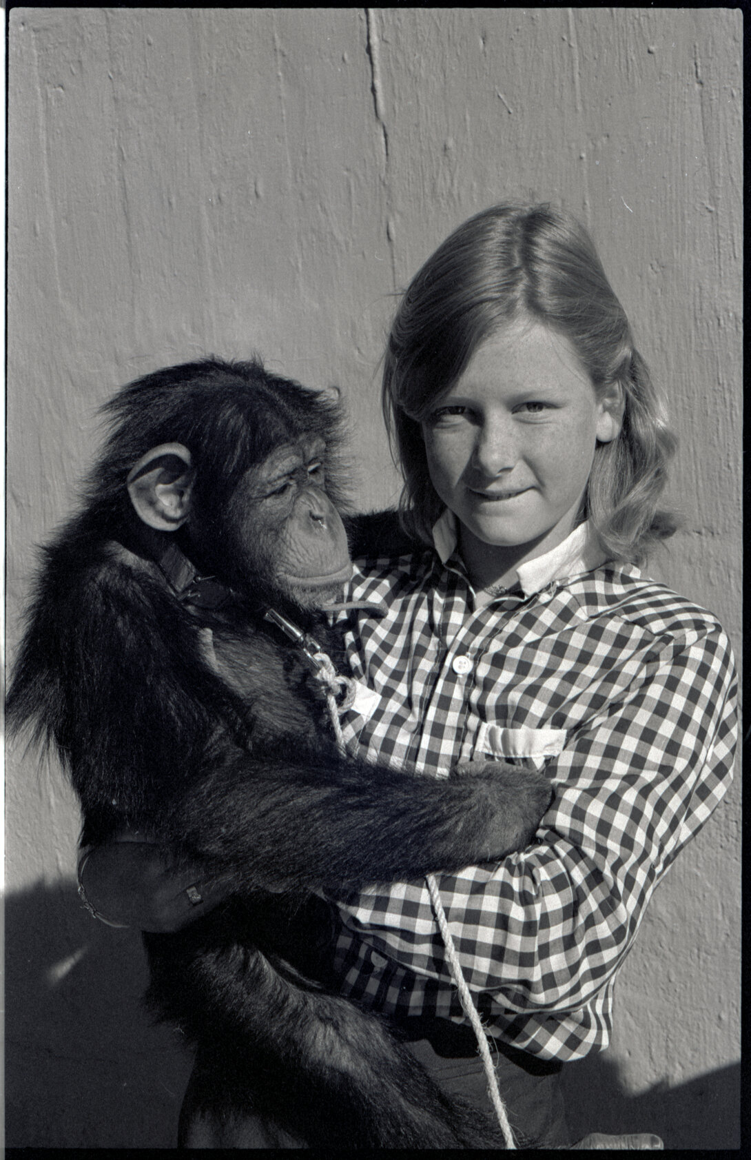 Wellington Zoo Programme and an Irish Visitor at a park or garden, c.1982