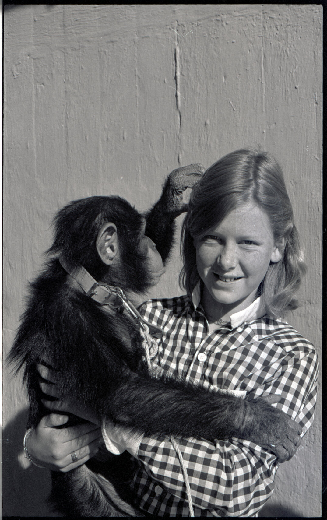 Wellington Zoo Programme and an Irish Visitor at a park or garden, c.1982