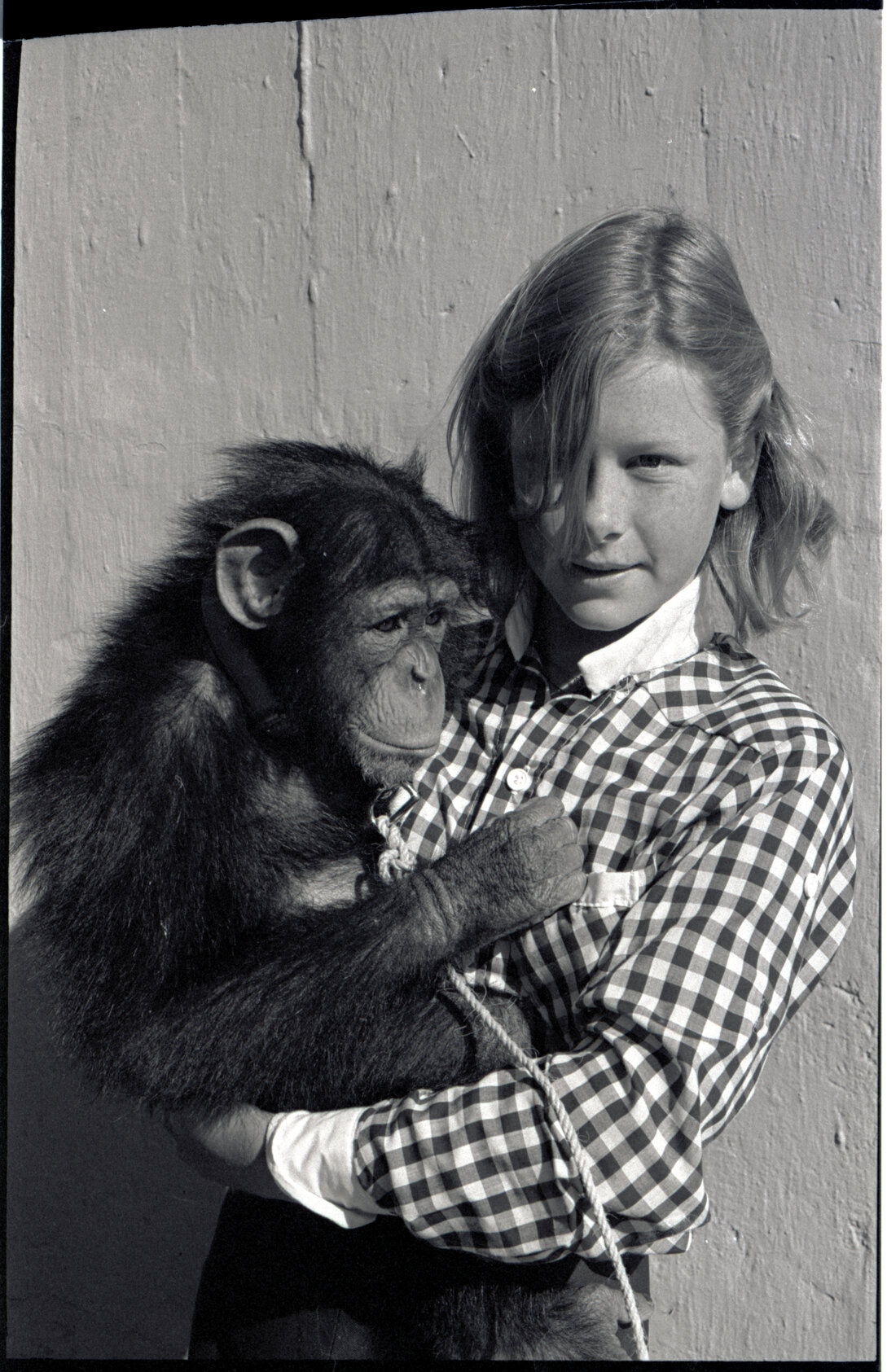 Wellington Zoo Programme and an Irish Visitor at a park or garden, c.1982