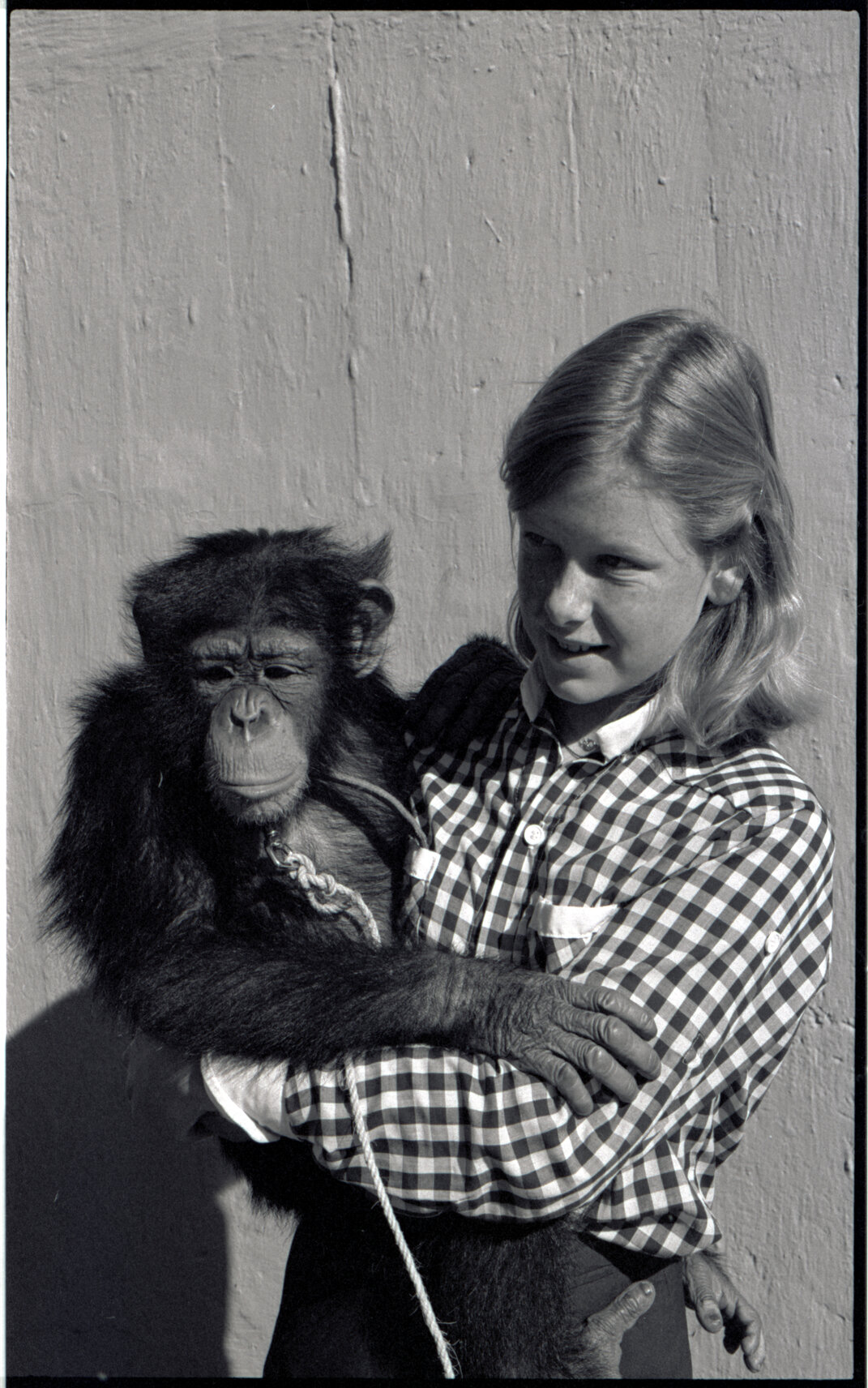 Wellington Zoo Programme and an Irish Visitor at a park or garden, c.1982