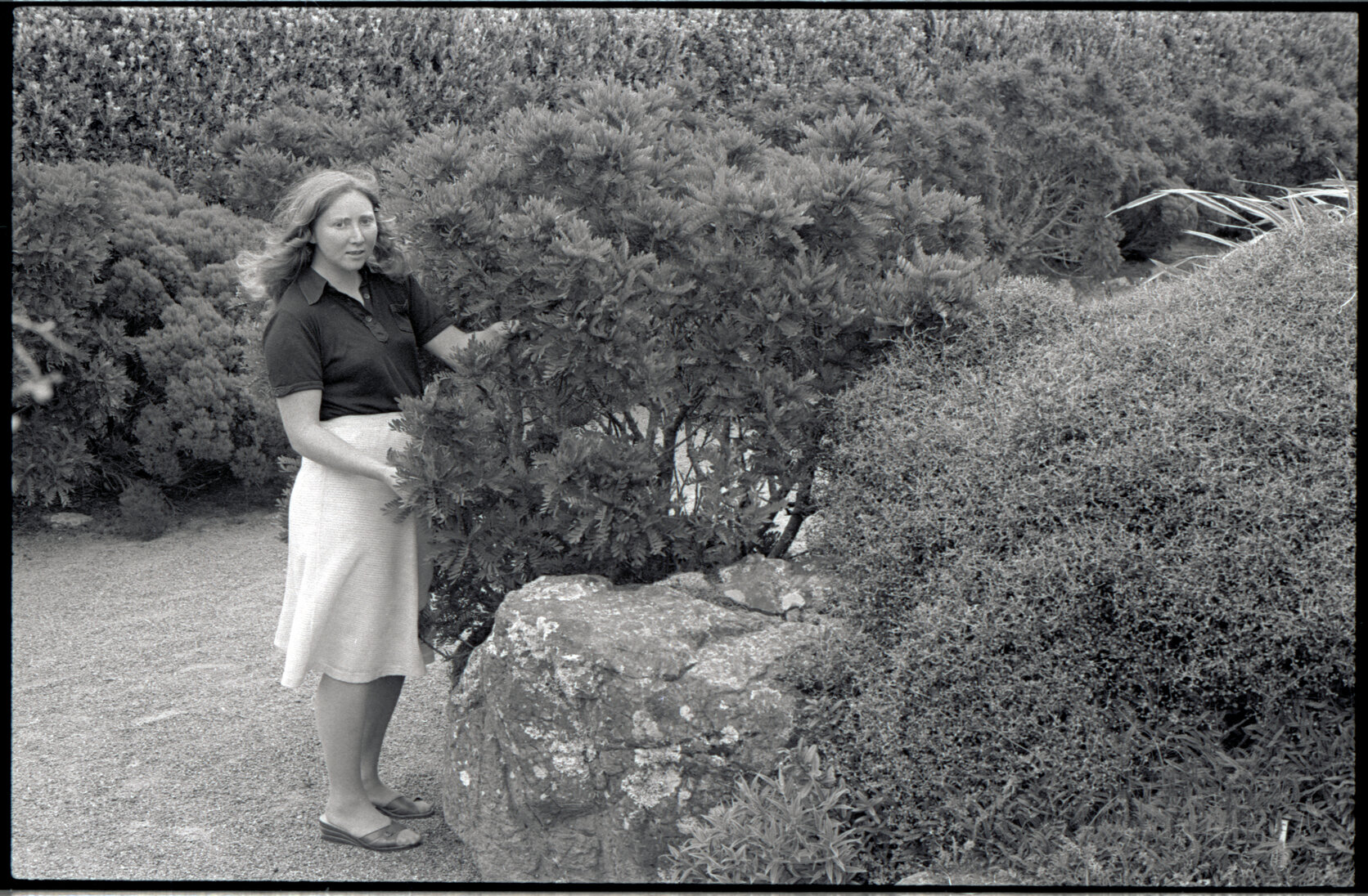 Wellington Zoo Programme and an Irish Visitor at a park or garden, c.1982