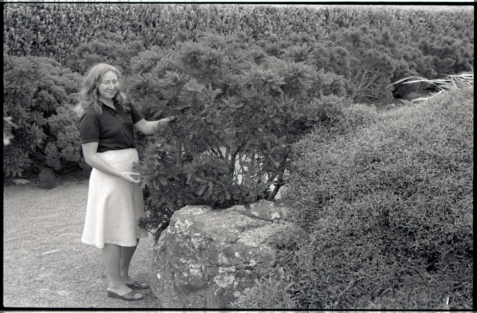 Wellington Zoo Programme and an Irish Visitor at a park or garden, c.1982