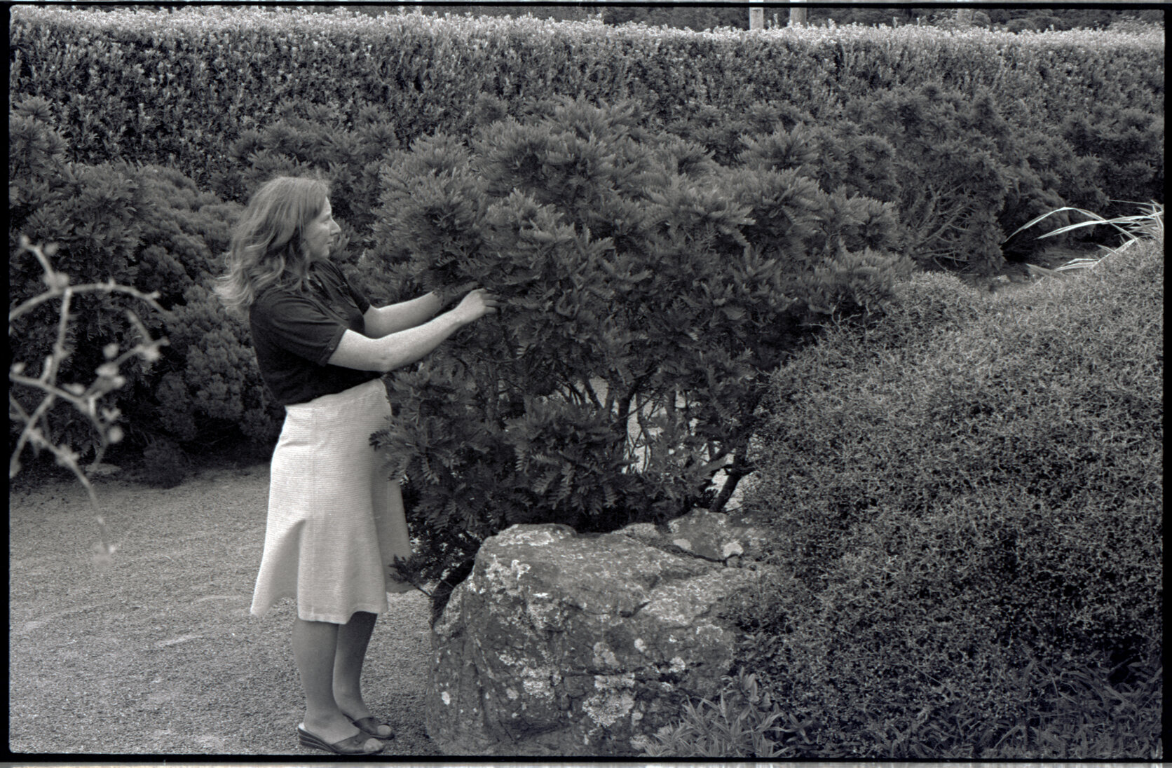 Wellington Zoo Programme and an Irish Visitor at a park or garden, c.1982