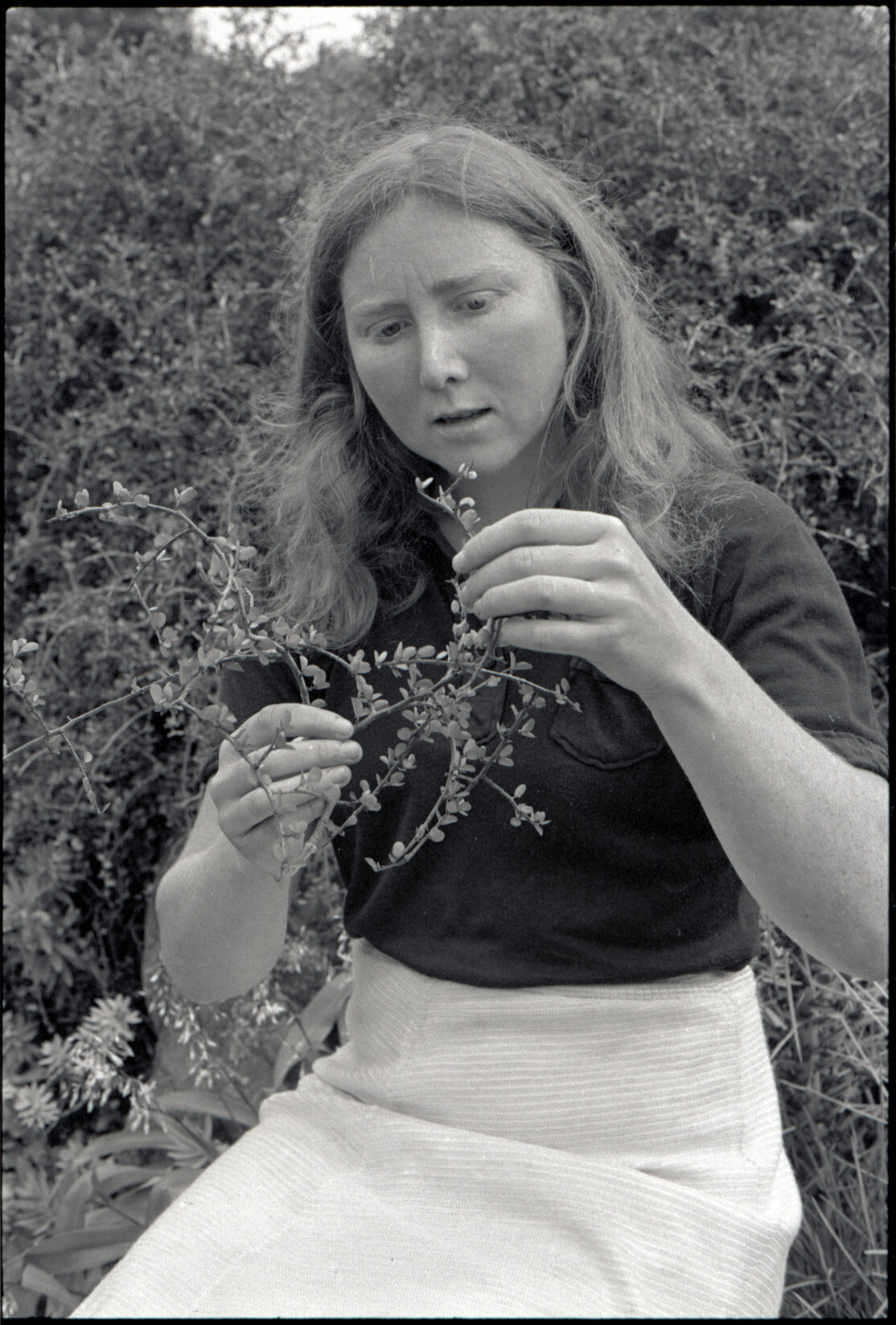 Wellington Zoo Programme and an Irish Visitor at a park or garden, c.1982