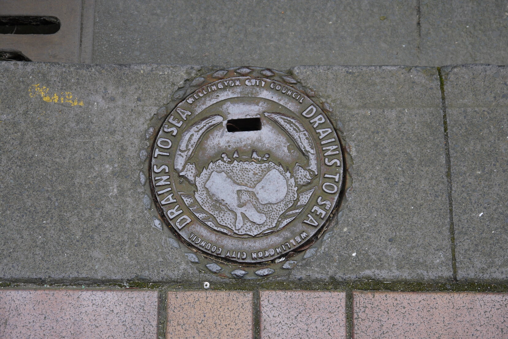 Wellington City Manhole Cover
