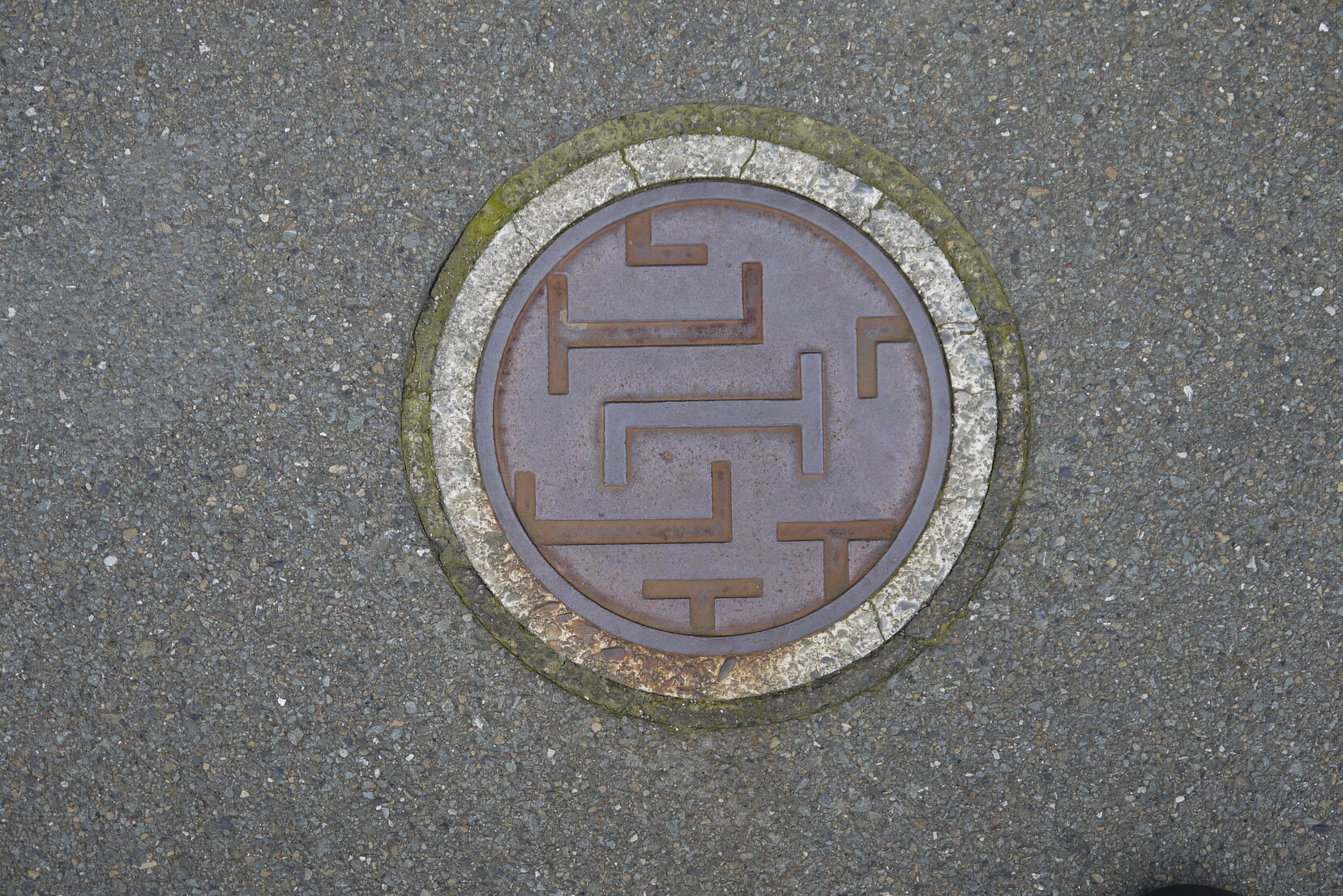Wellington City Manhole Cover