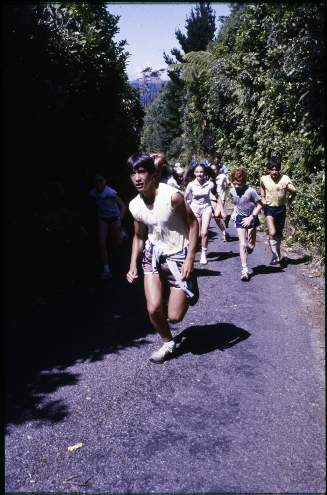 Summer City - Wacky Workshops