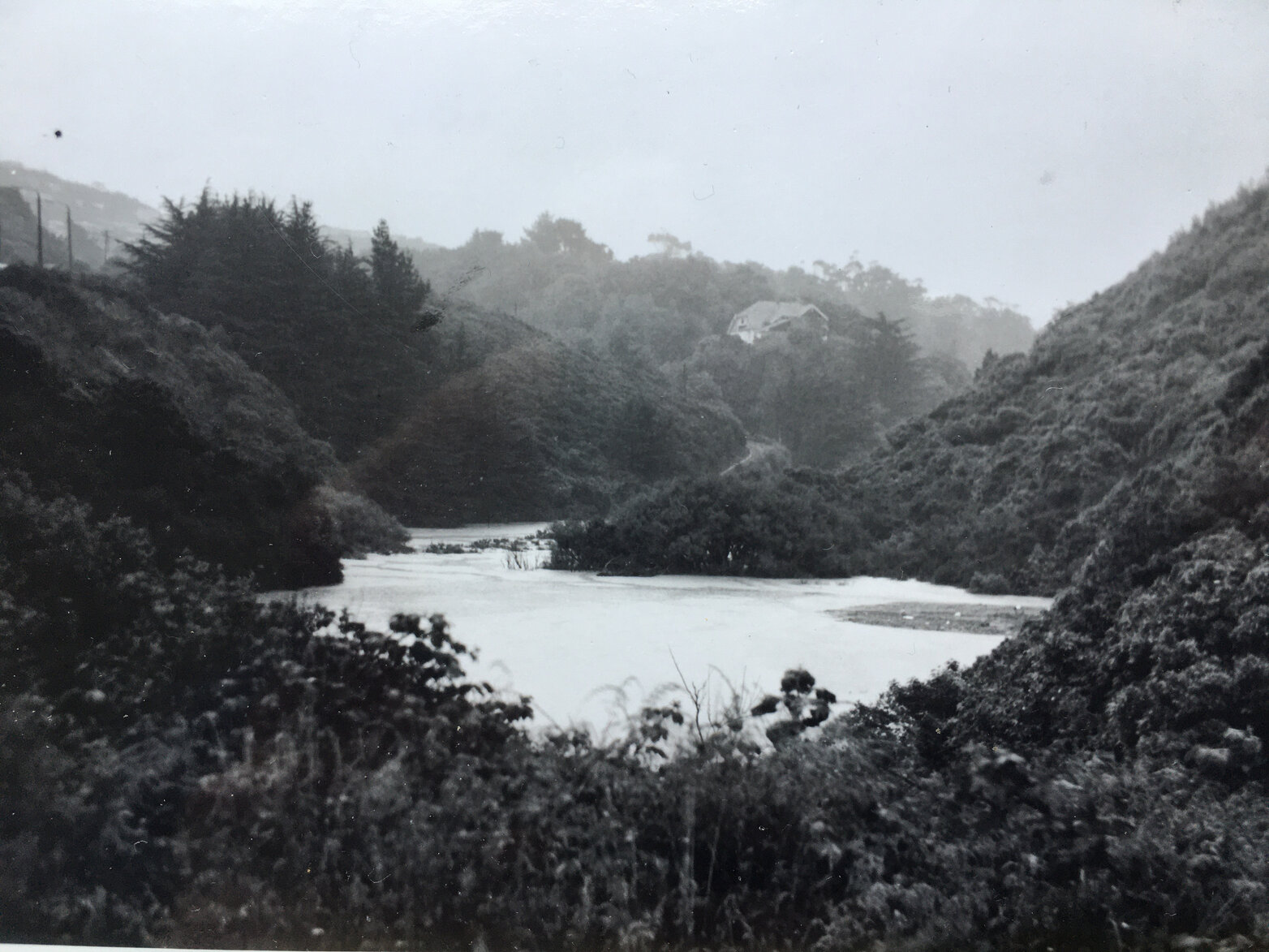 Flooding of Wilton's Bush, Wilton House in background