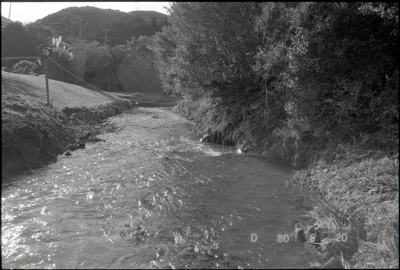 Middleton Road, Downers Yard, stream
