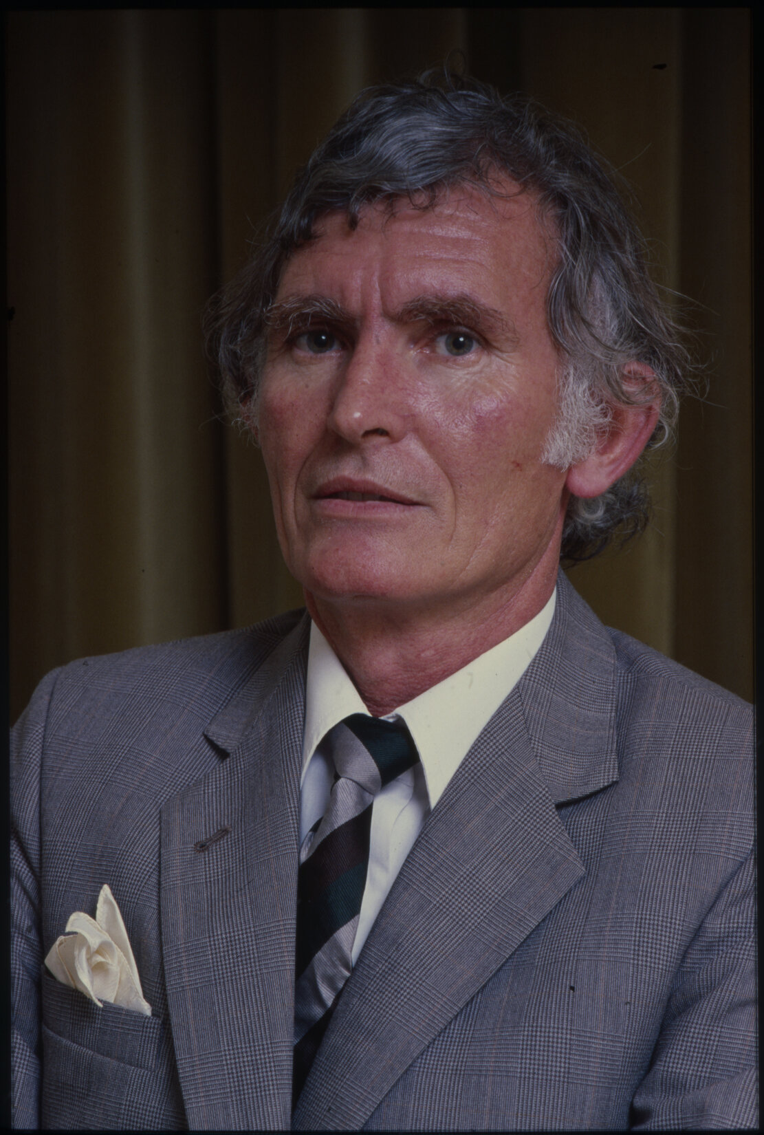 Bruce Harris, Councillor