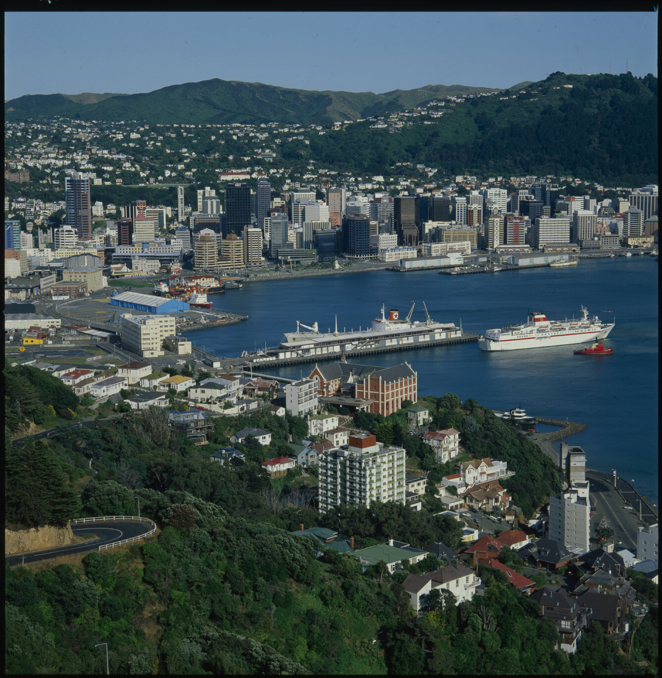 City and Harbour from Roseneath