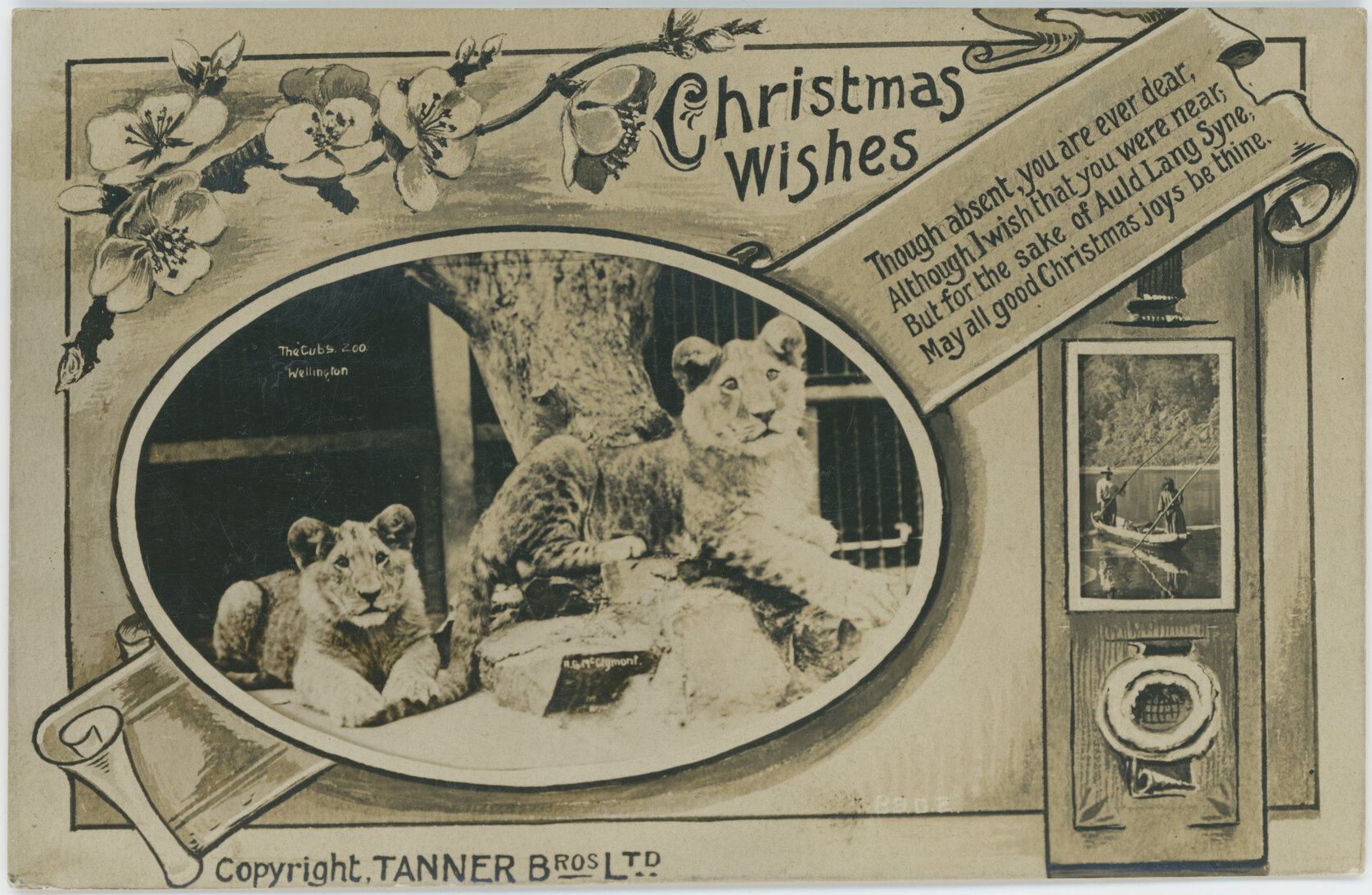 Christmas Wishes, The Cubs, Zoo, Wellington
