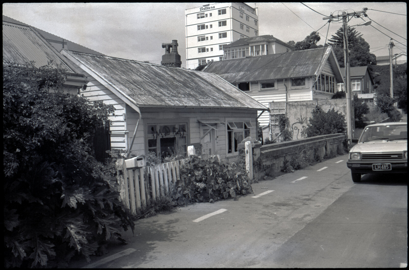 2, 4, 6 Evelyn Place: vandalised houses
