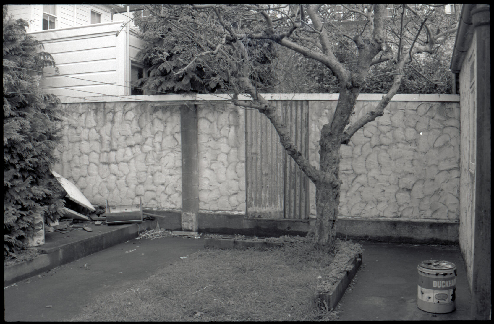 No 1, 3, 5 and 7 Evelyn Place: houses and yards
