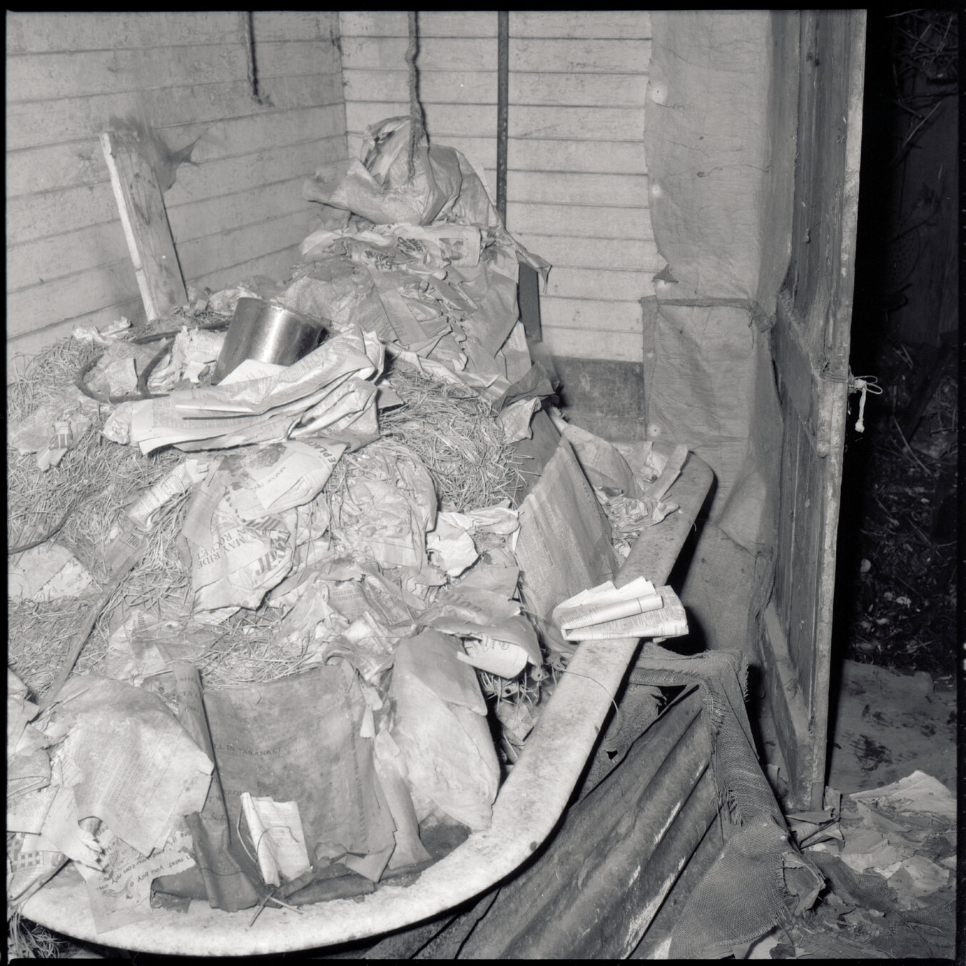 p. No 11 Evelyn Place