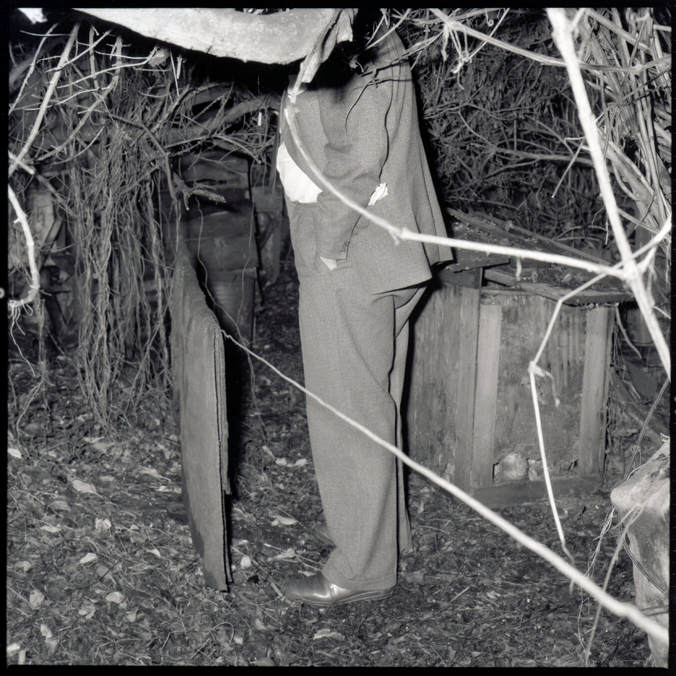 o. No 11 Evelyn Place