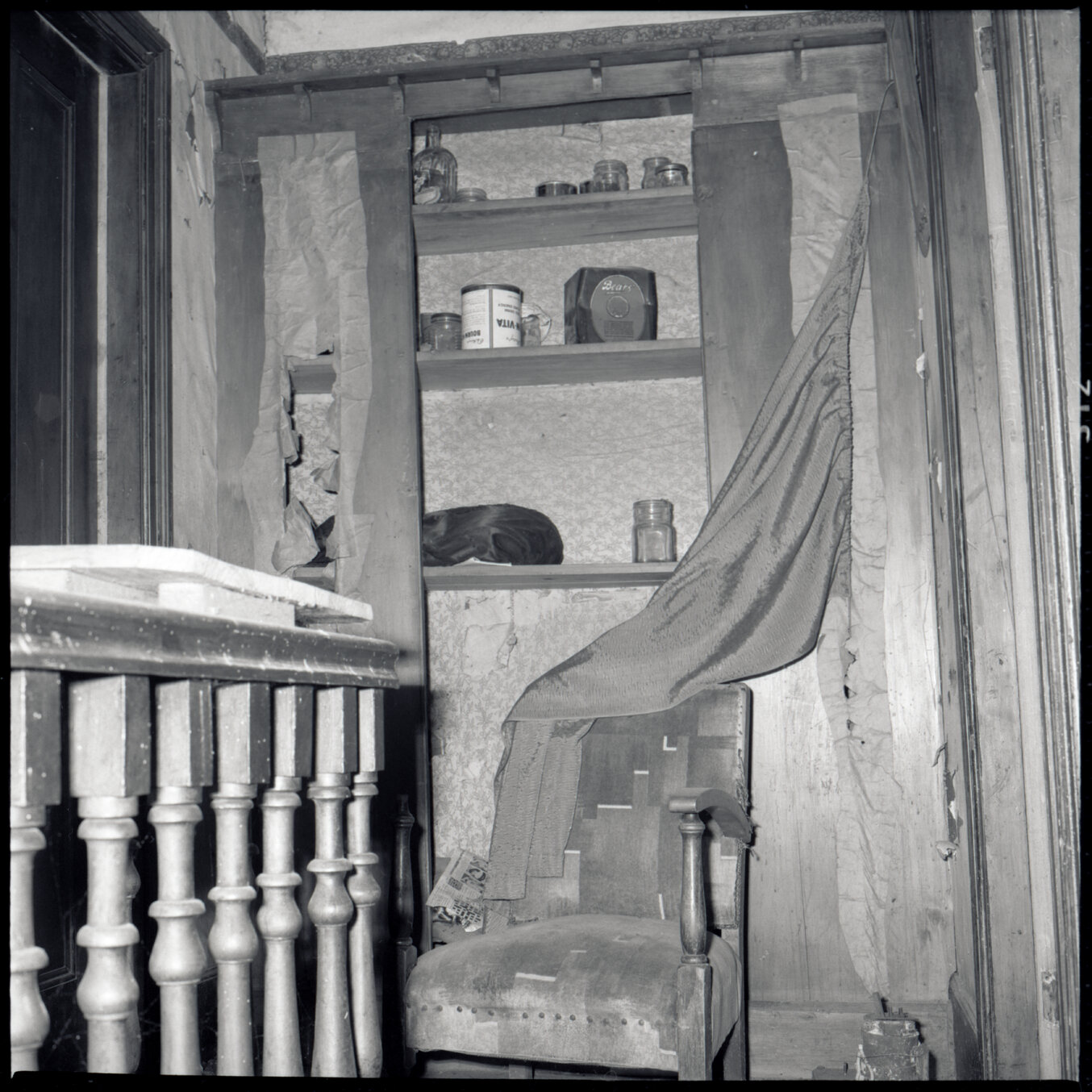 j. No 11 Evelyn Place