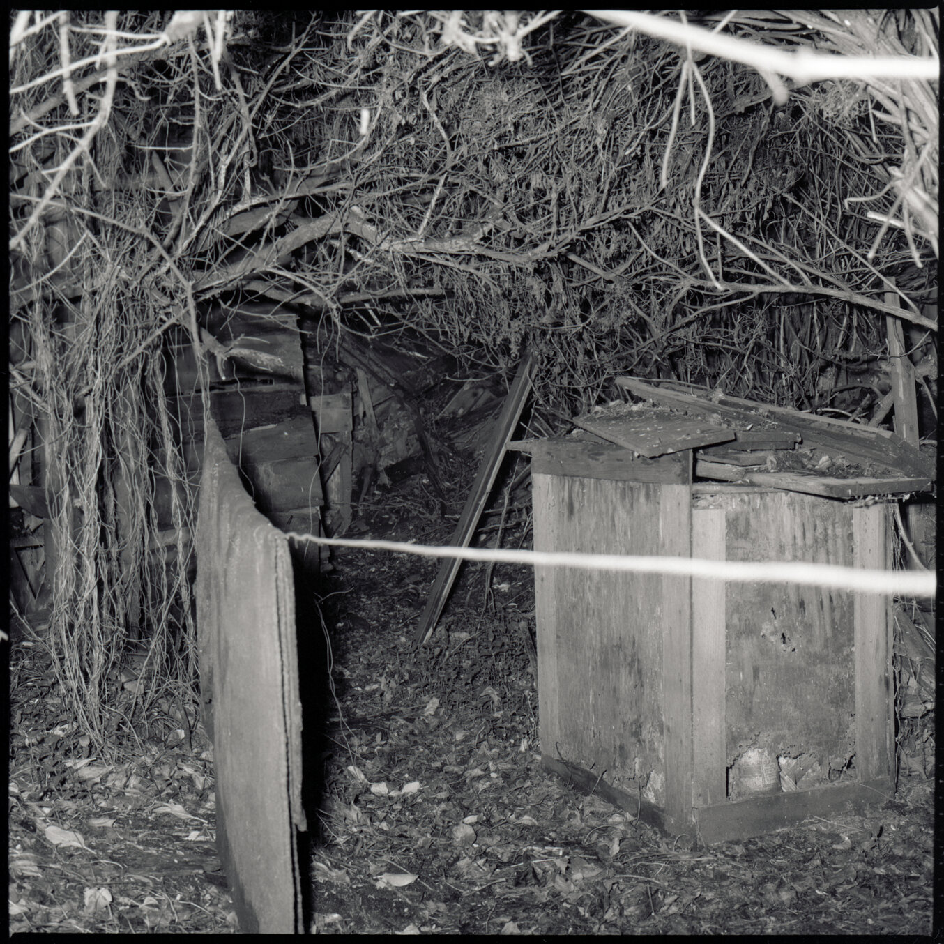 h. No 11 Evelyn Place