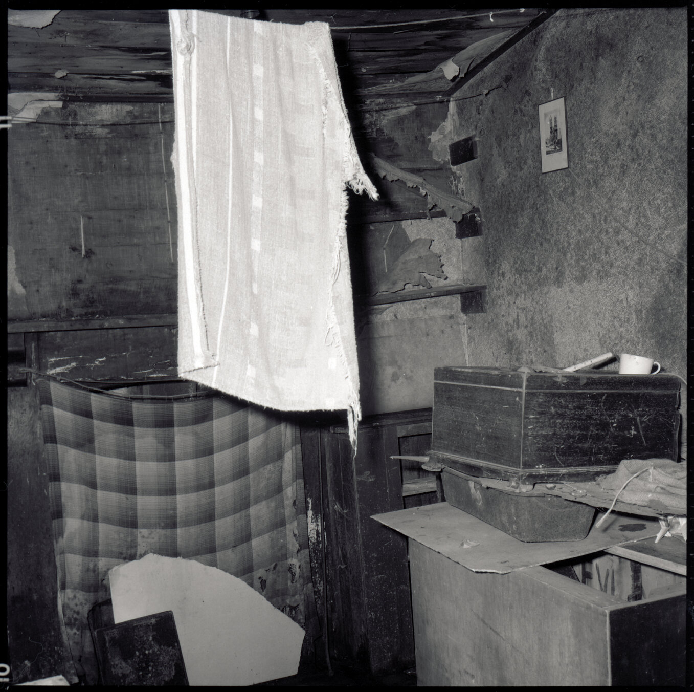 g. No 11 Evelyn Place