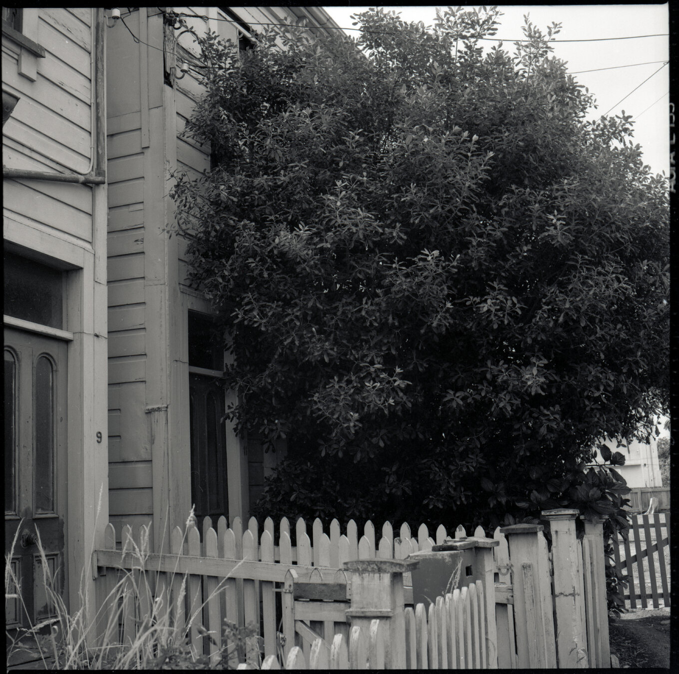 d. No 11 Evelyn Place