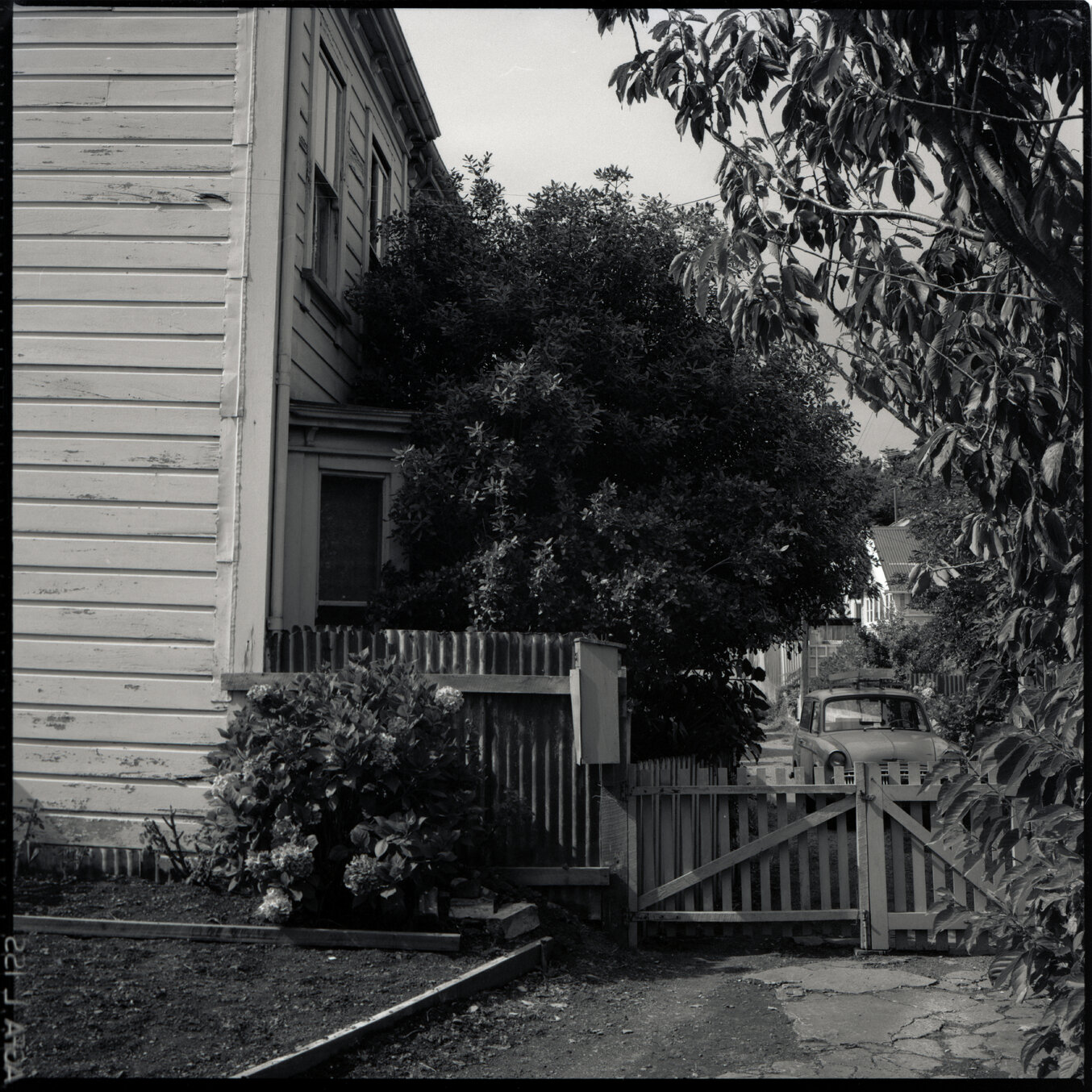 a. No 11 Evelyn Place