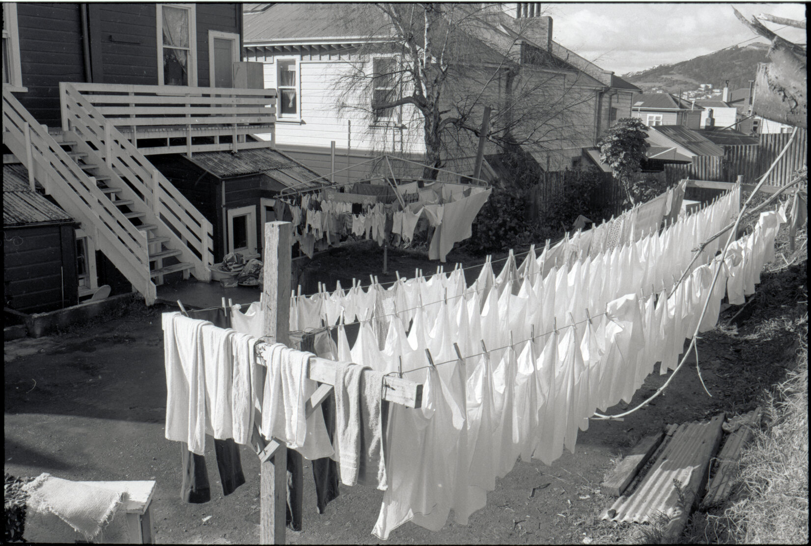 Council owned houses, 44 Aro Street area and others, 12 Tonks Avenue and others, 8 Alameda Street