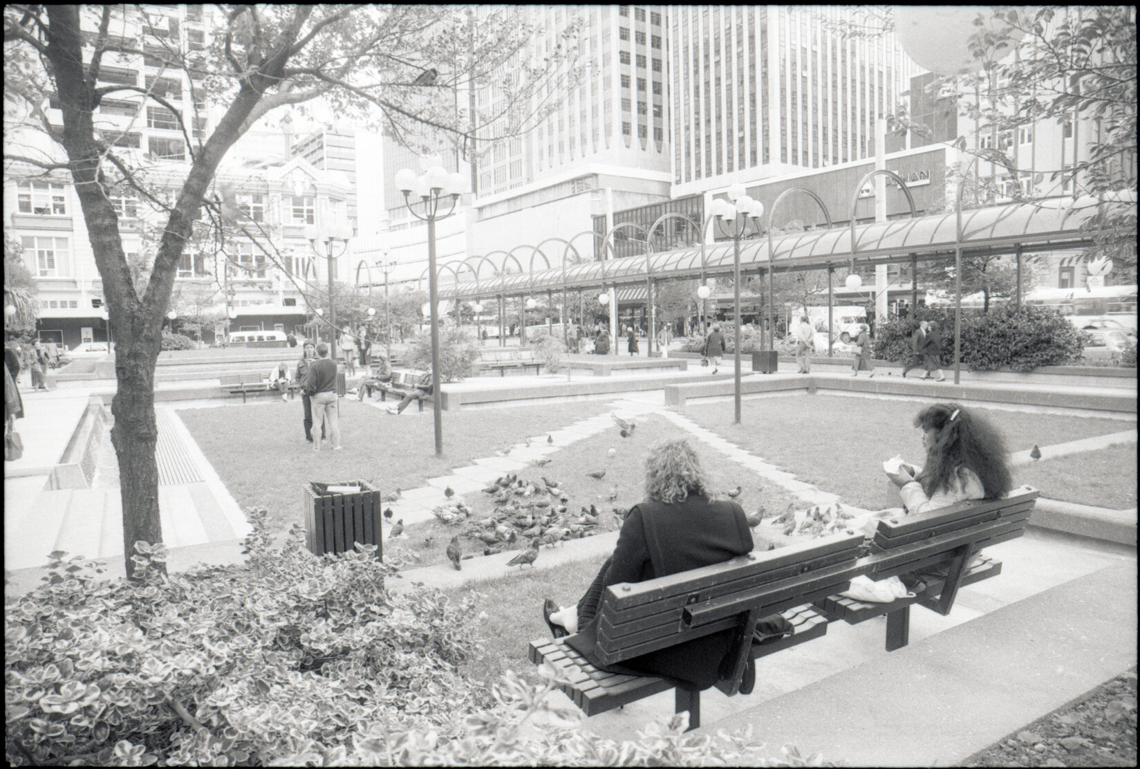 People eating lunch in front of pigeons, Midland Park