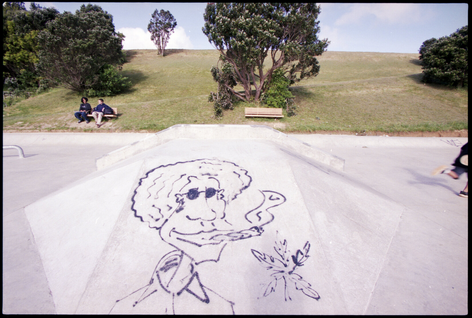 Graffiti, Newlands Skateboard Park