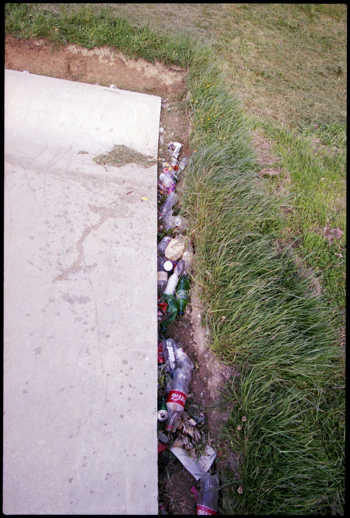 Rubbish, Newlands Skateboard Park
