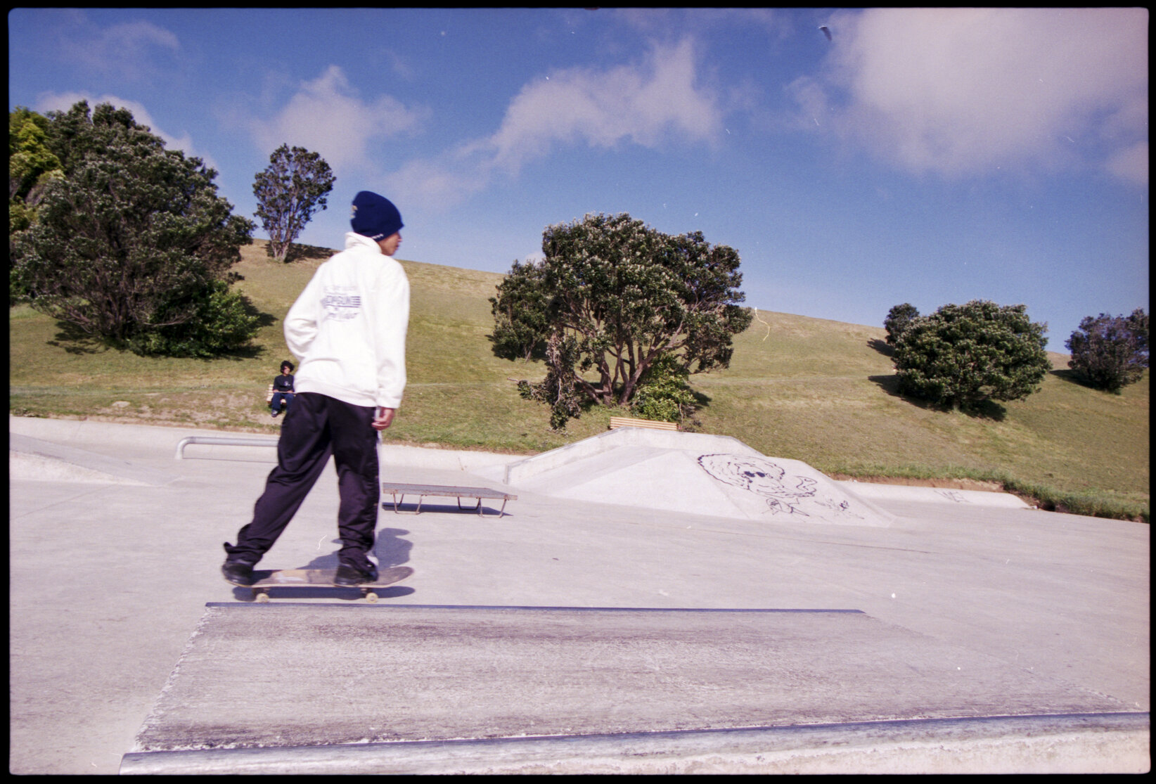 Skateboarders, Newlands Skateboard Park