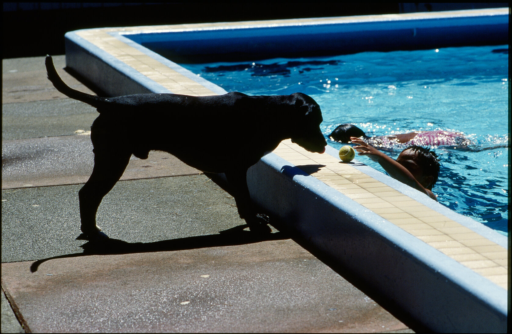Wellington East Girls College swimming pool, children playing