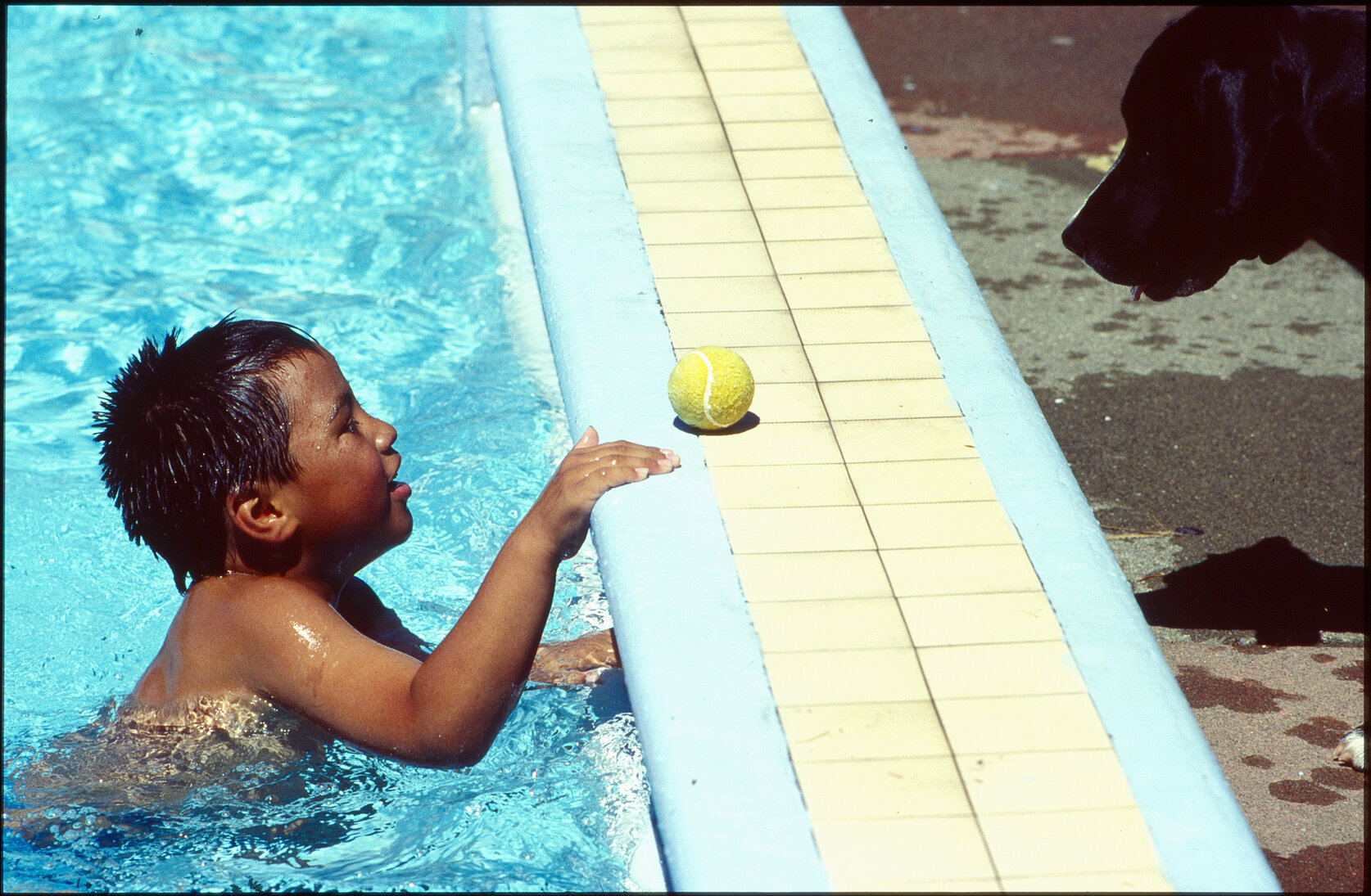 Wellington East Girls College swimming pool, children playing
