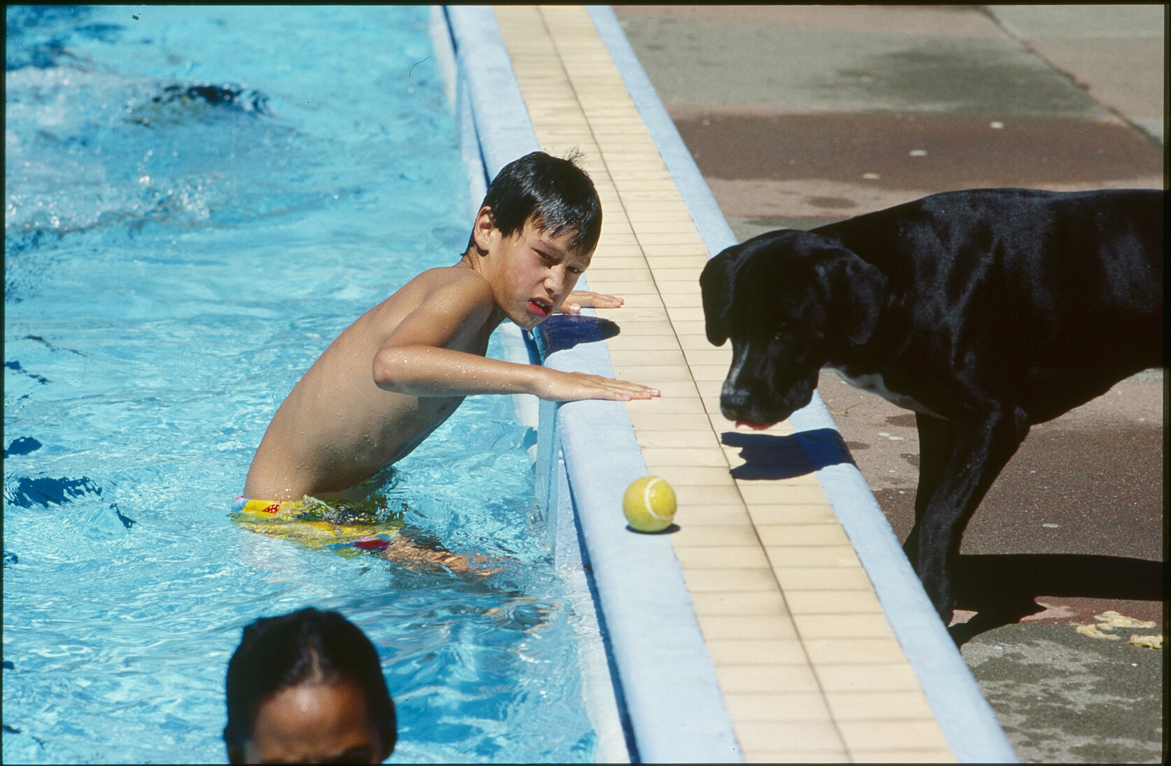 Wellington East Girls College swimming pool, children playing