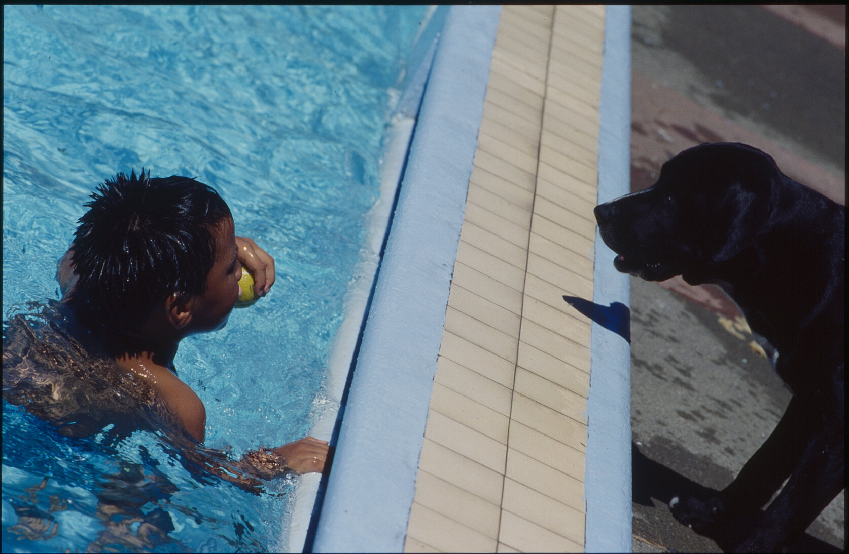 Wellington East Girls College swimming pool, children playing