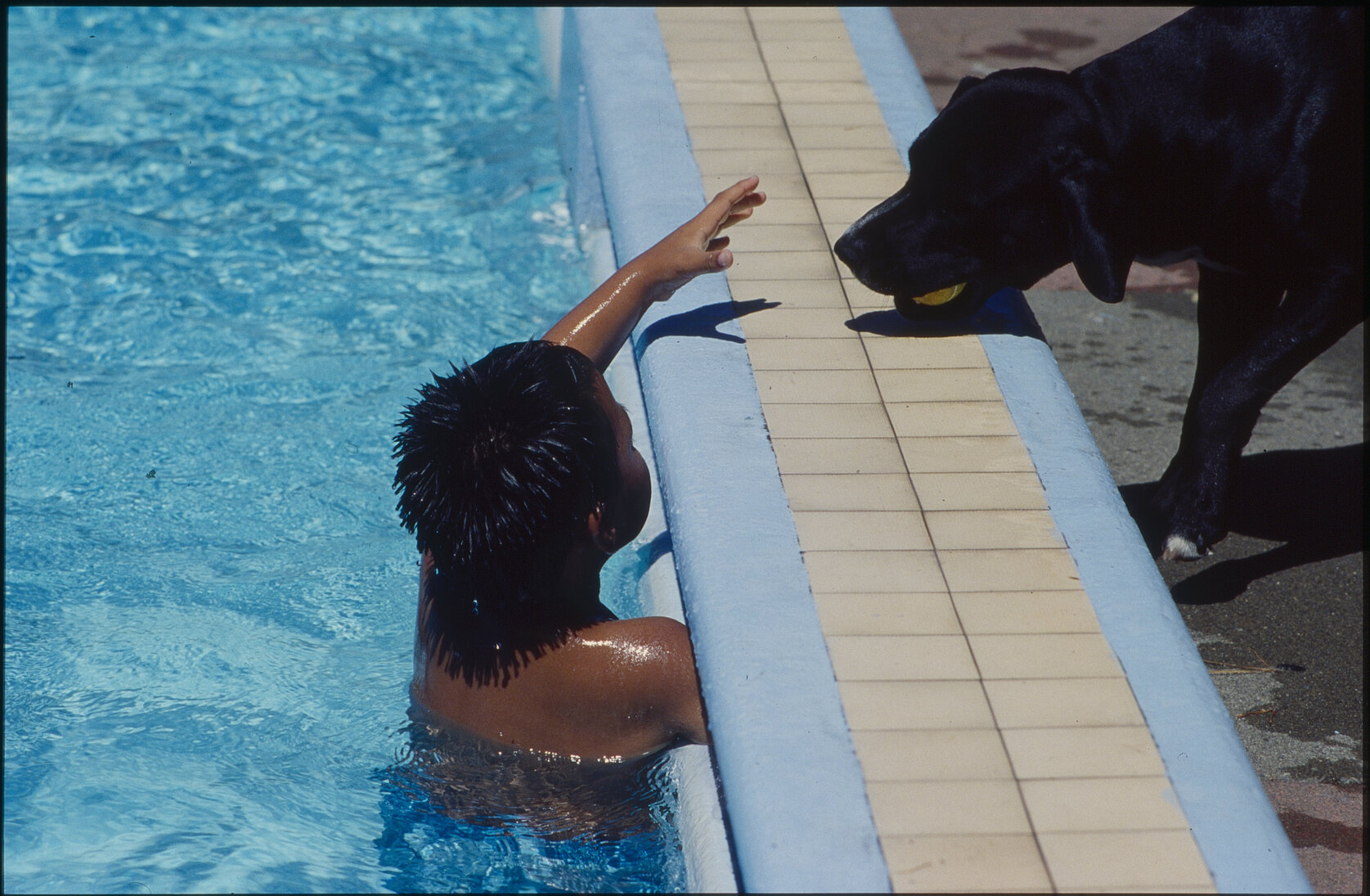 Wellington East Girls College swimming pool, children playing