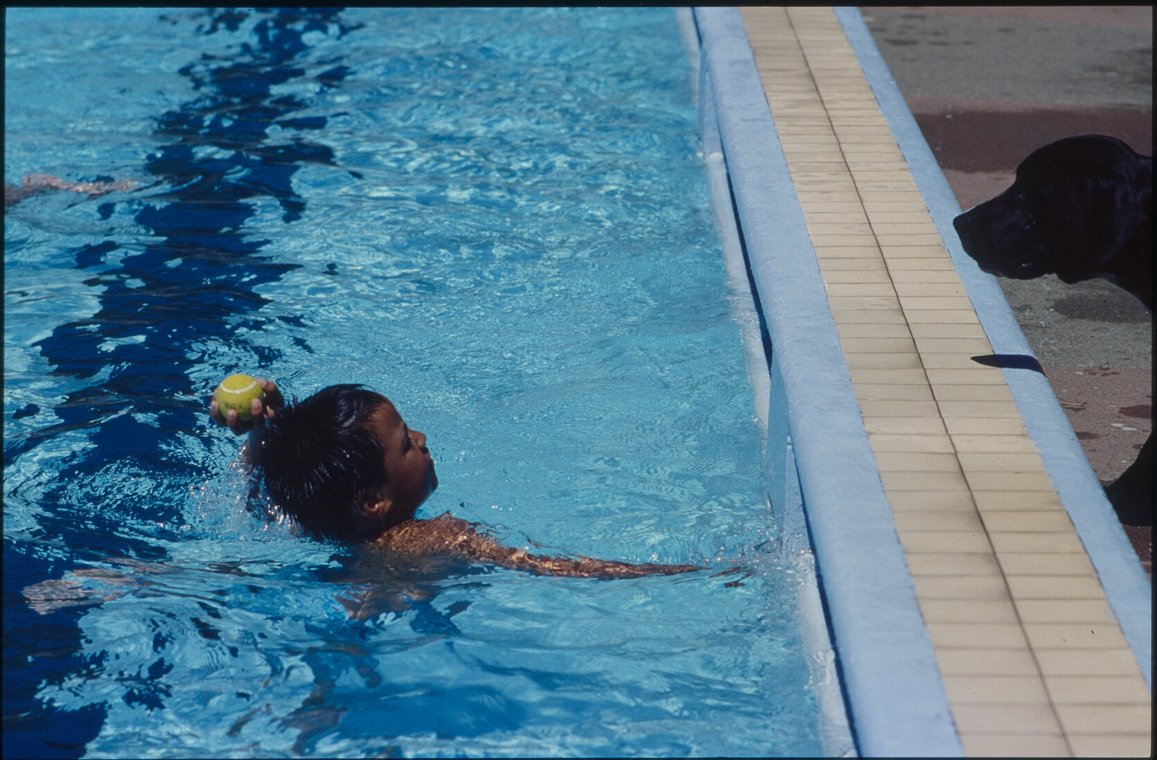 Wellington East Girls College swimming pool, children playing
