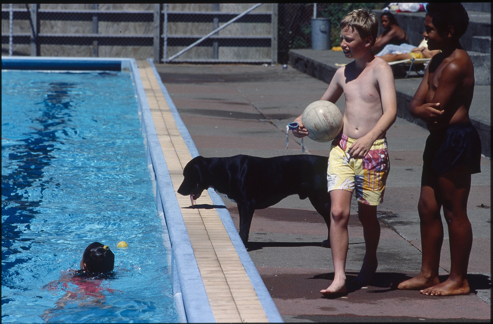 Wellington East Girls College swimming pool, children playing