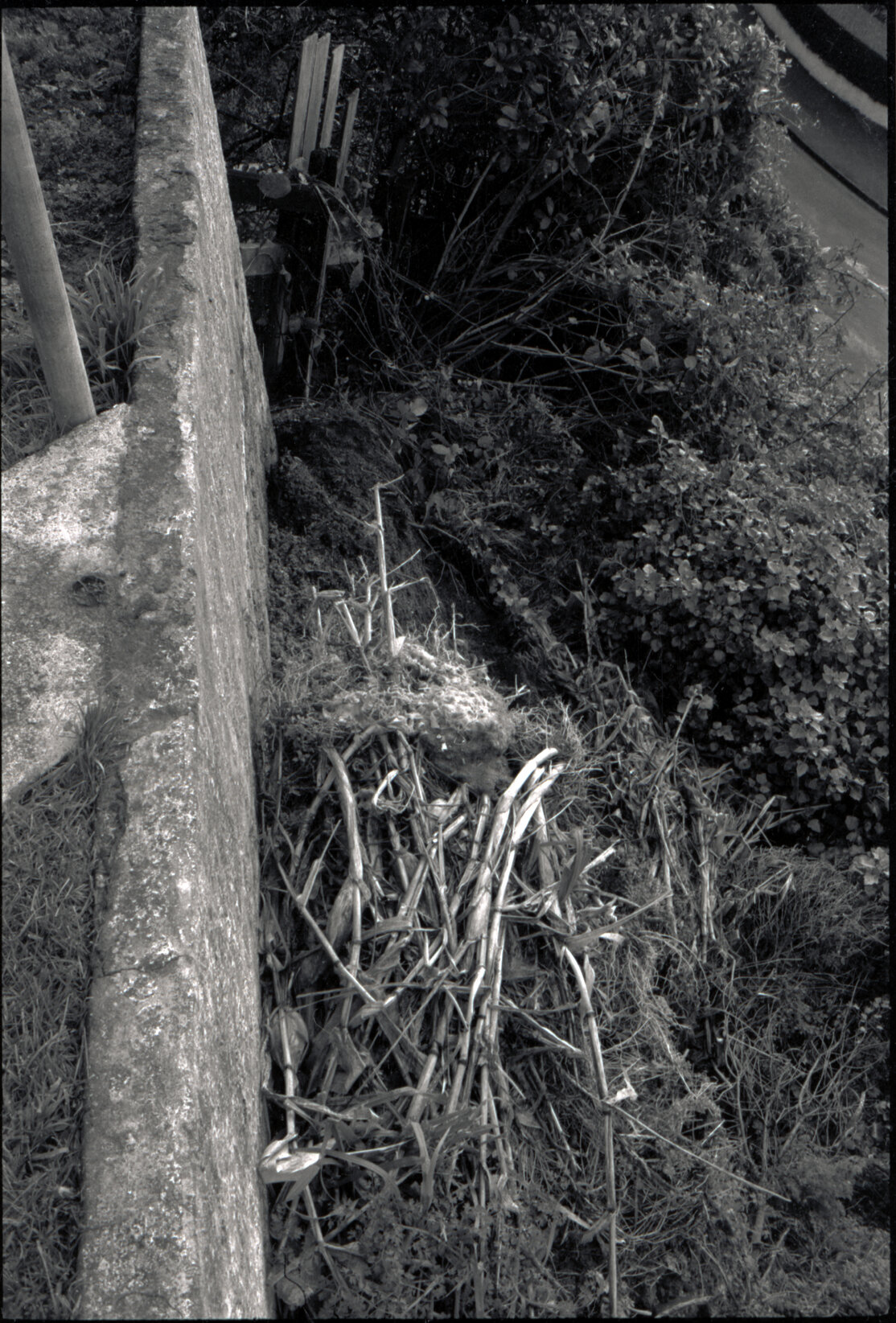 14 Mana Street, rubbish by wall top of batter