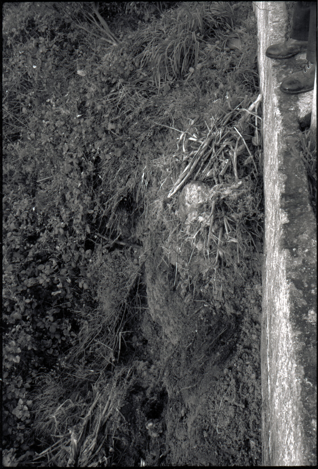 14 Mana Street, rubbish by wall top of batter