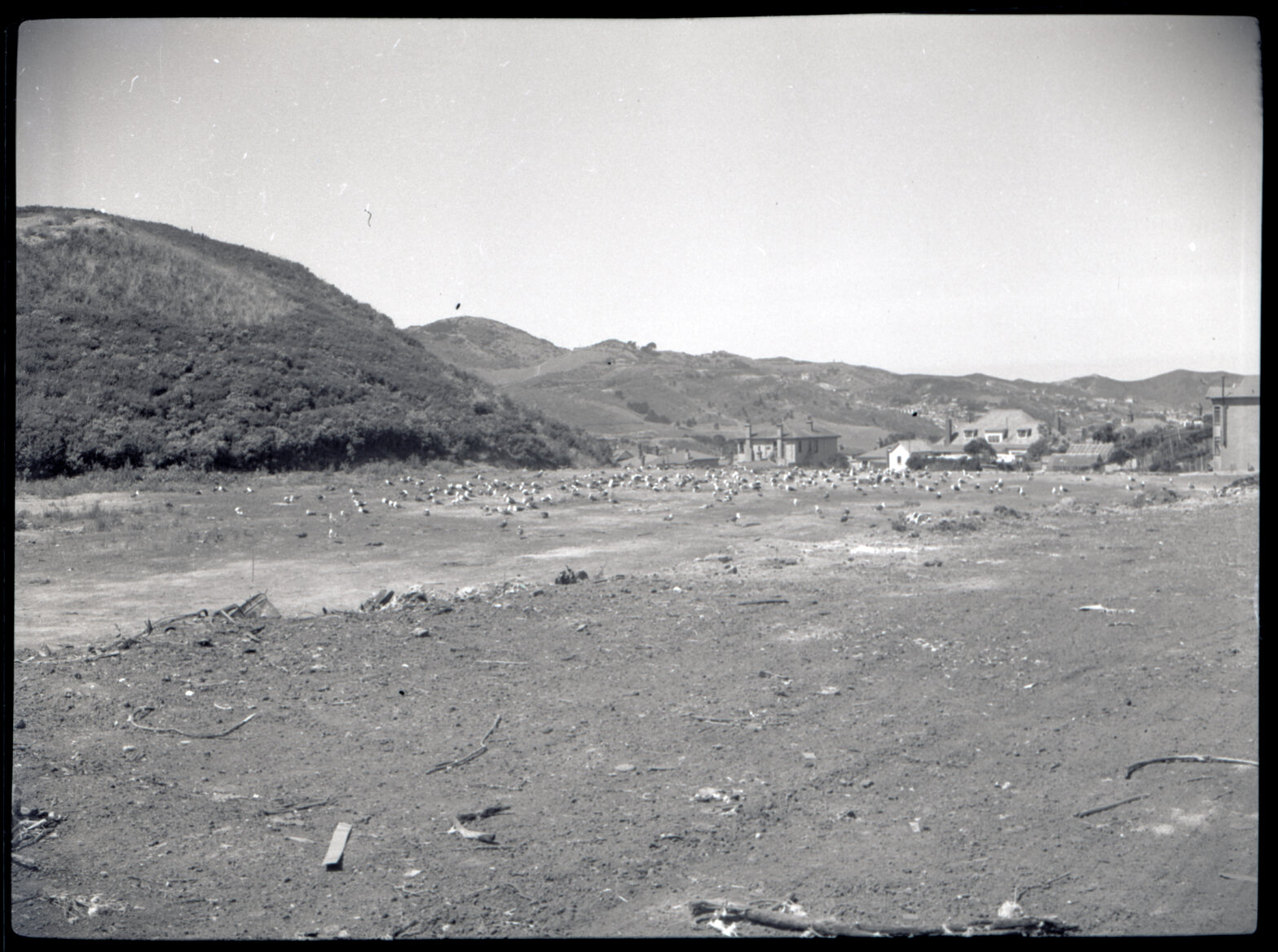 Various rubbish themed images