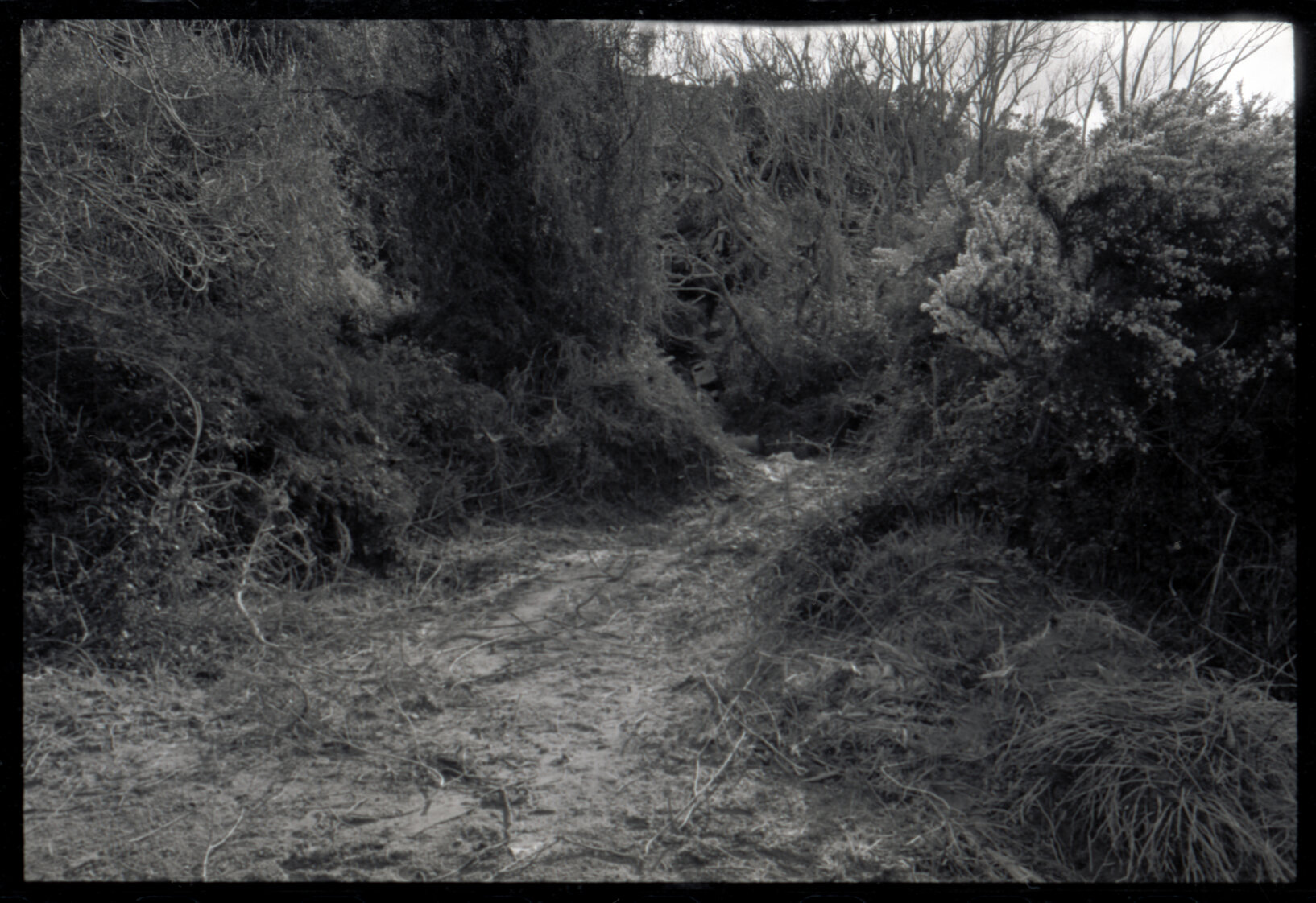Rubbish tip at Kaitoke and Judgeford