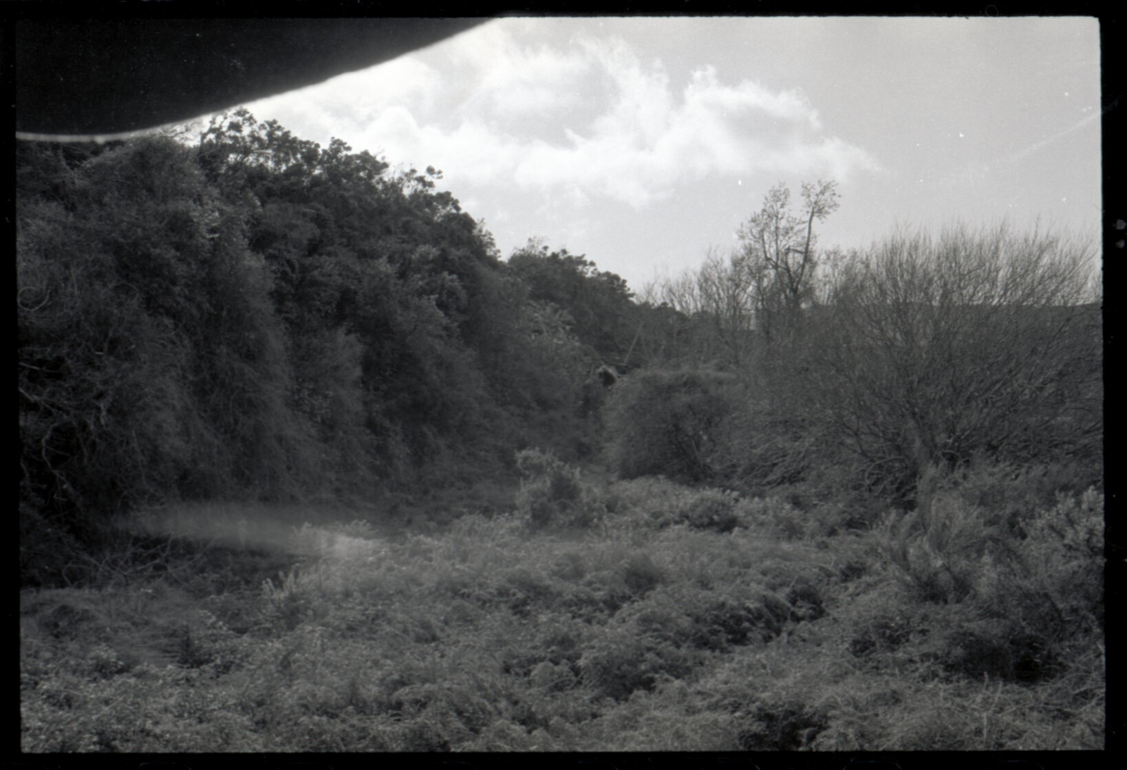 Rubbish tip at Kaitoke and Judgeford