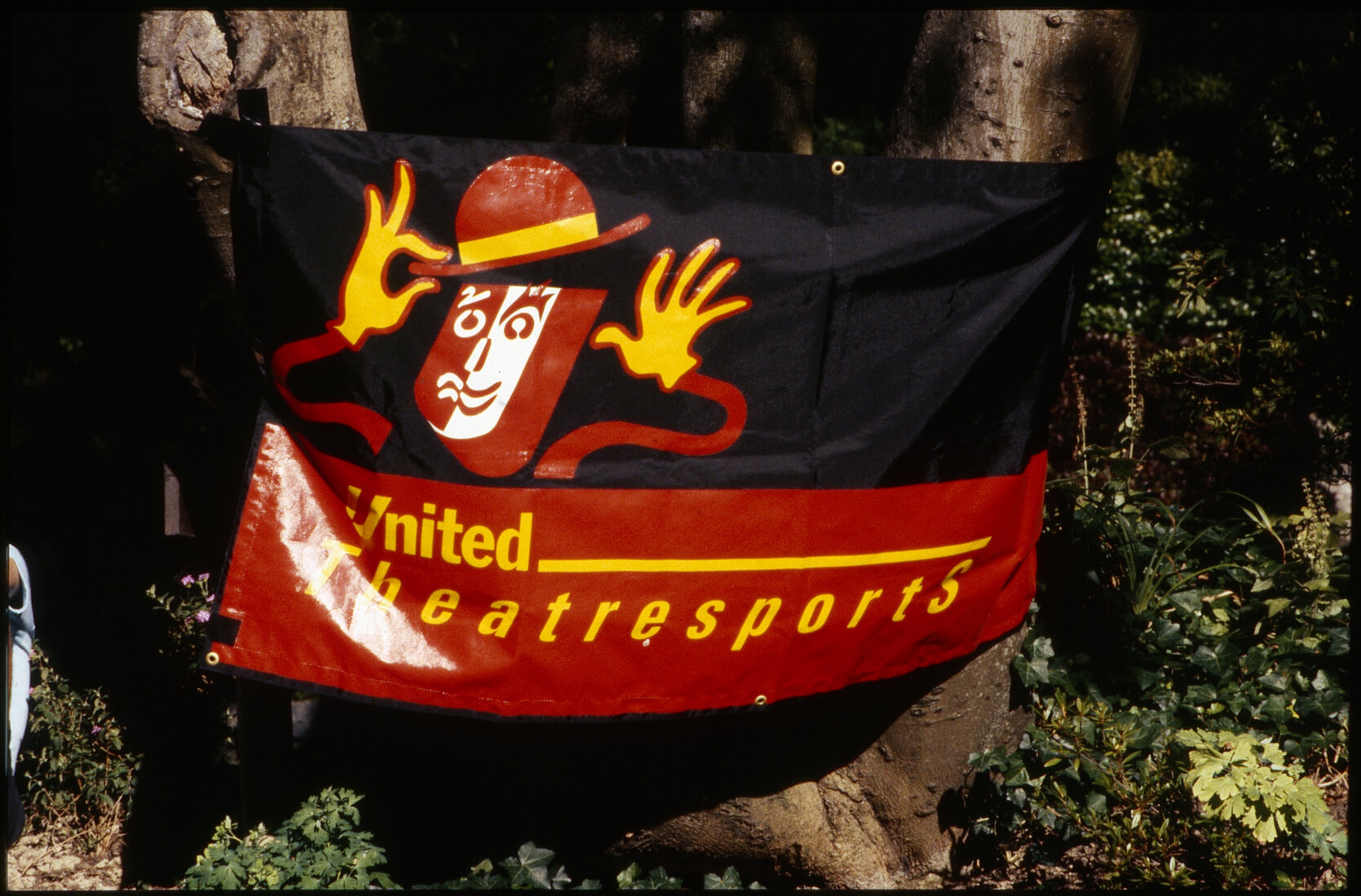 Summer City - Sound Shell Concert