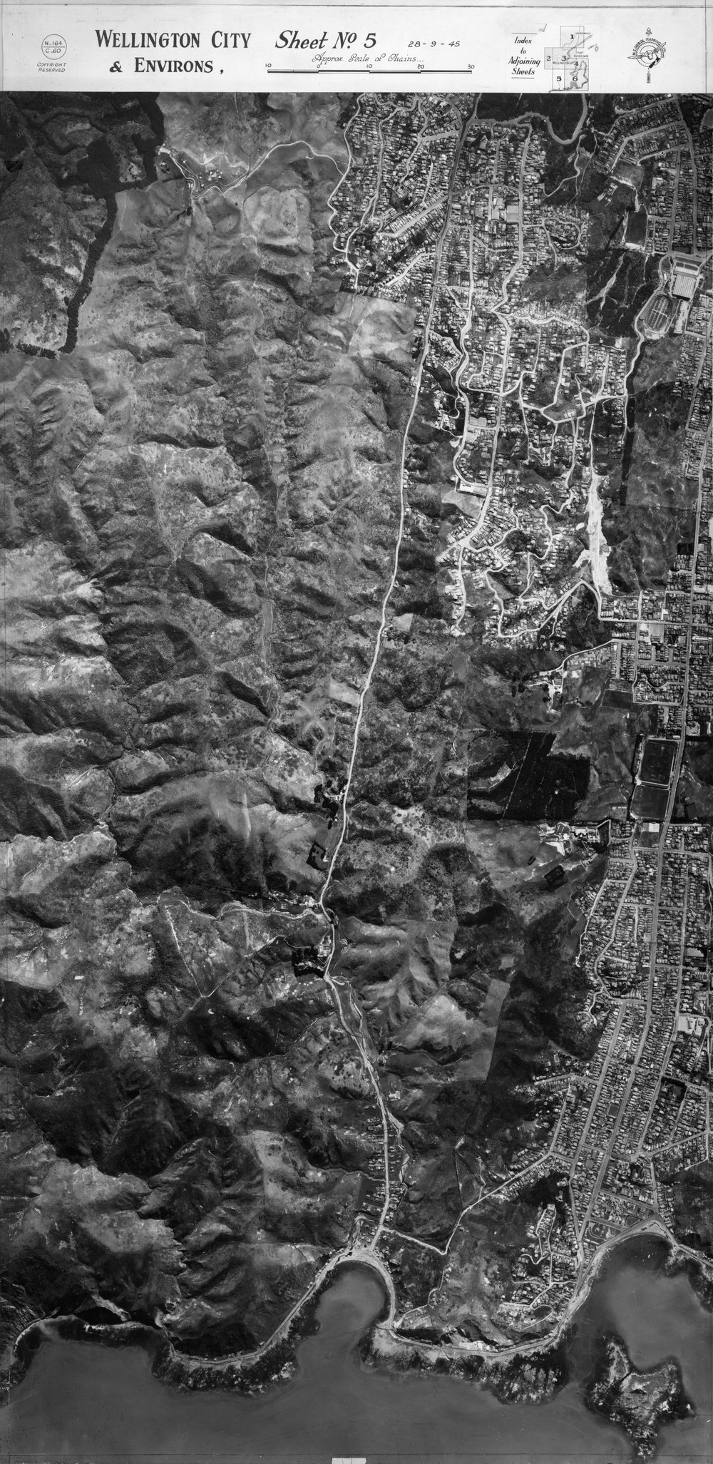 Wellington City and Environs Aerial Mosaic 1945, Sheet 5