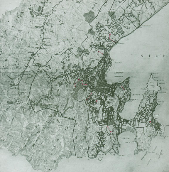 Map showing Wellington City and Port Nicholson