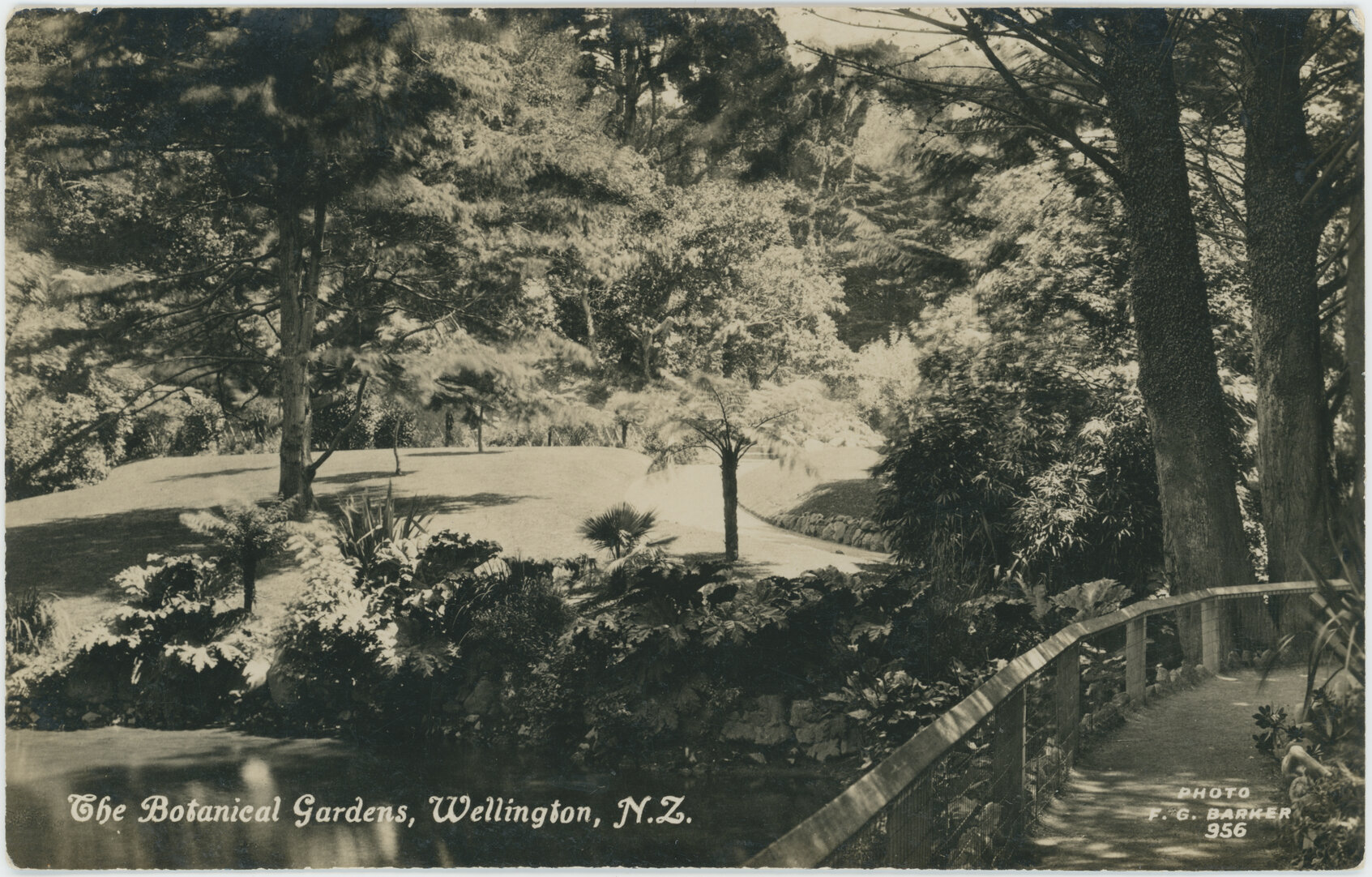 The Botanical Gardens, Wellington, New Zealand