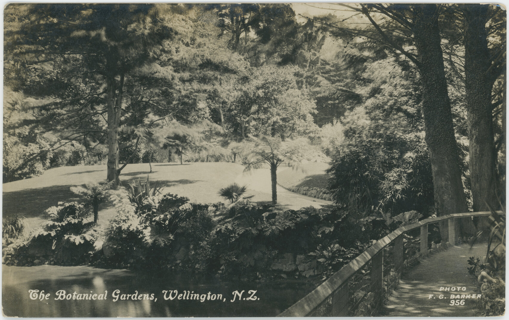 The Botanical Gardens, Wellington, New Zealand