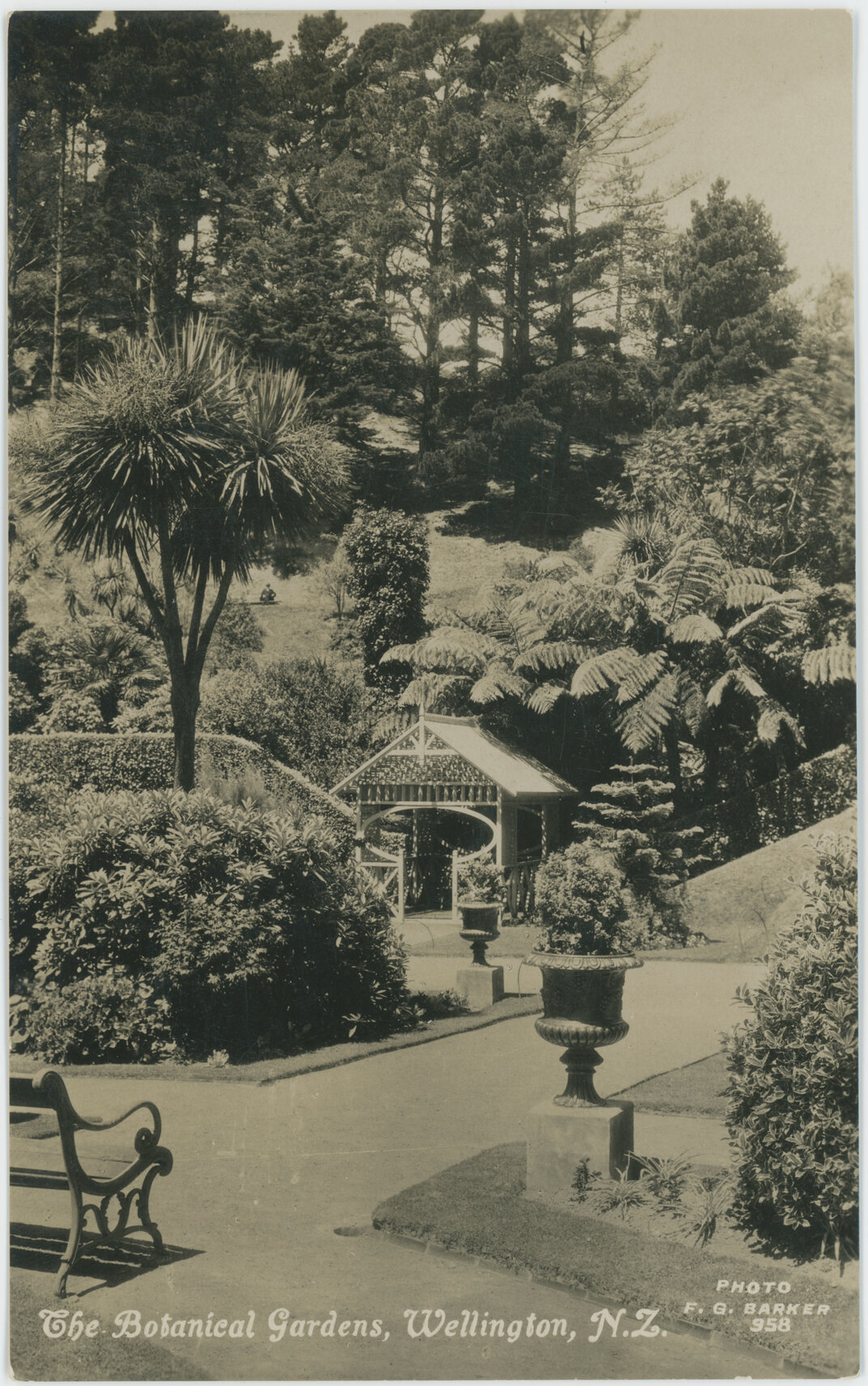 The Botanical Gardens, Wellington, New Zealand