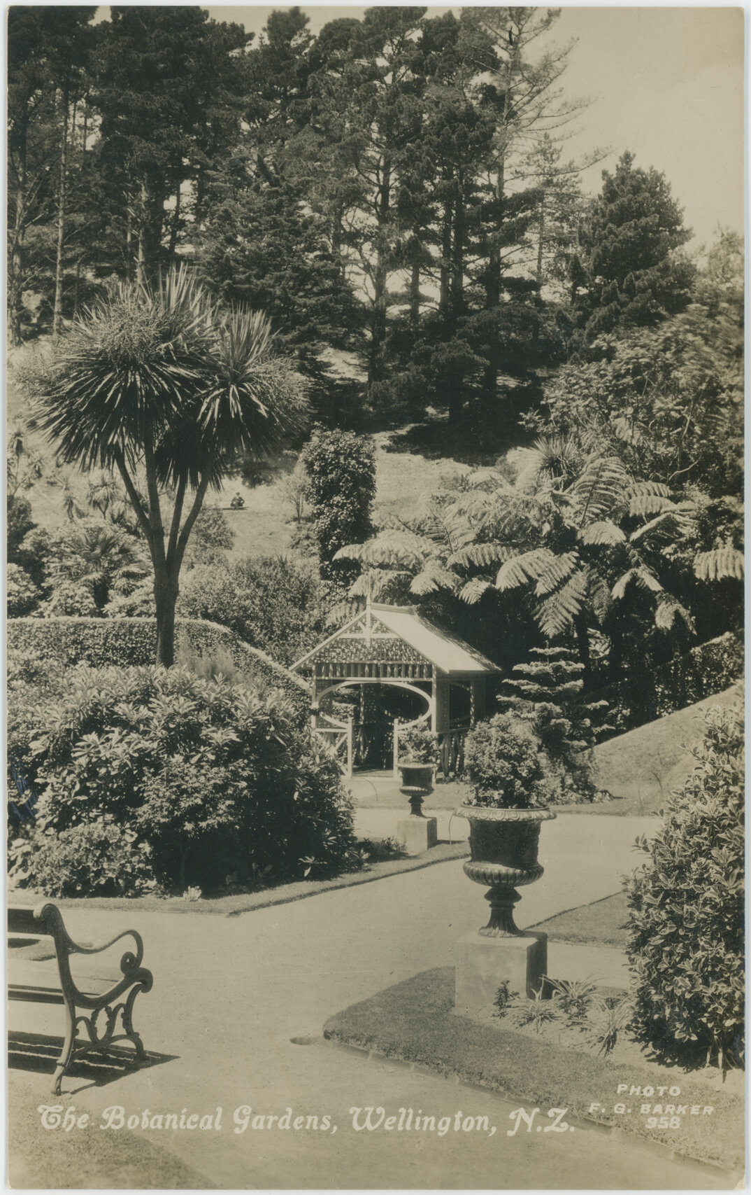 The Botanical Gardens, Wellington, New Zealand