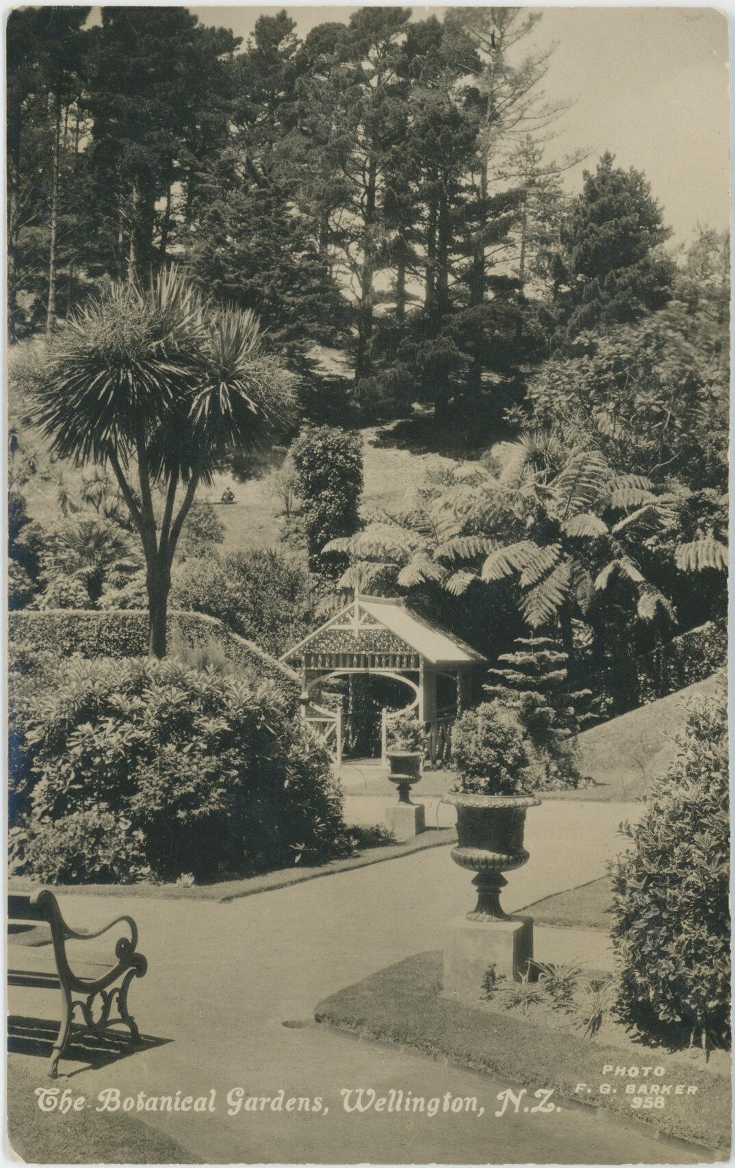 The Botanical Gardens, Wellington, New Zealand